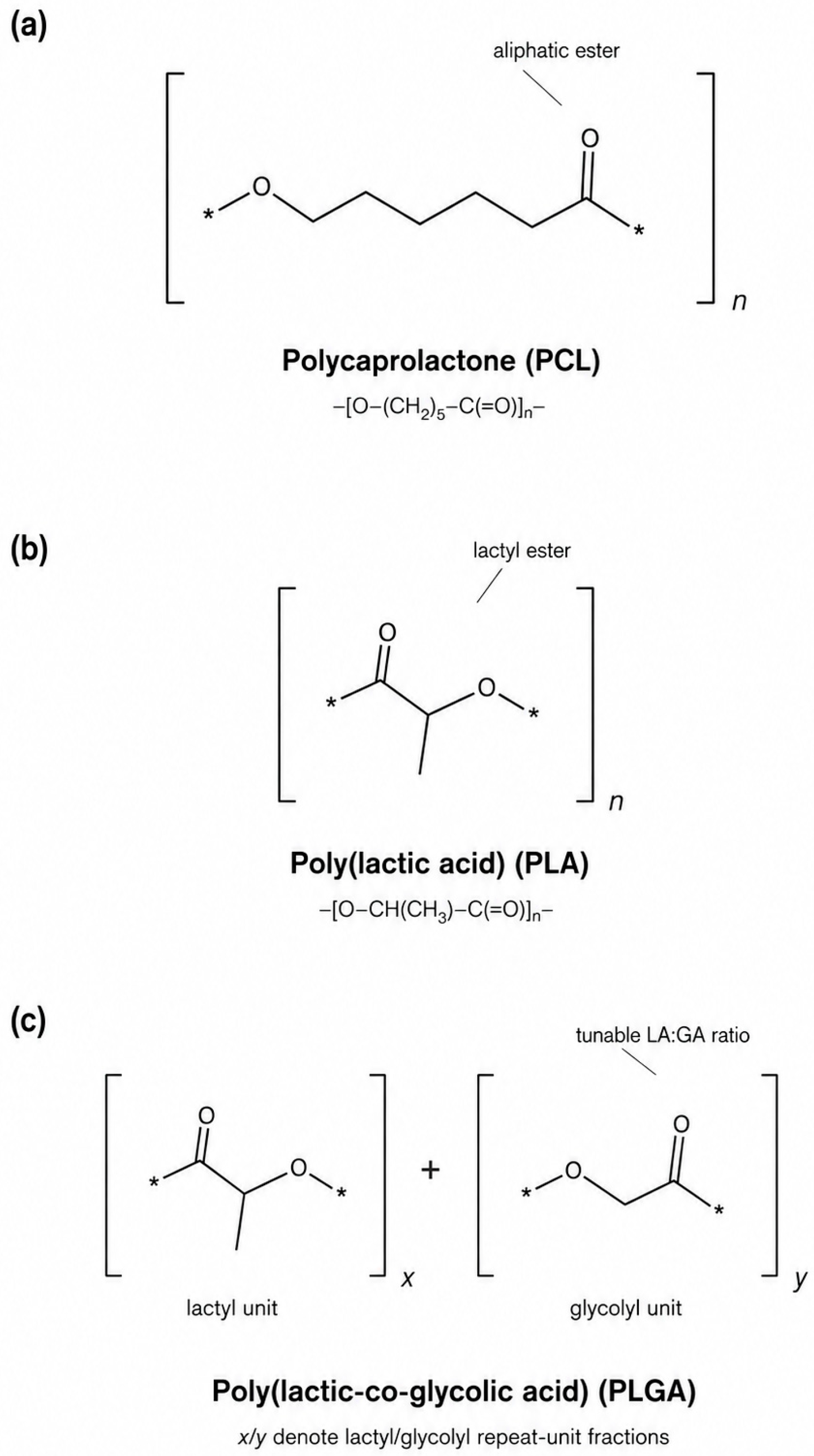Molecules 31 02206 g003 Molecules 31 02206 g003