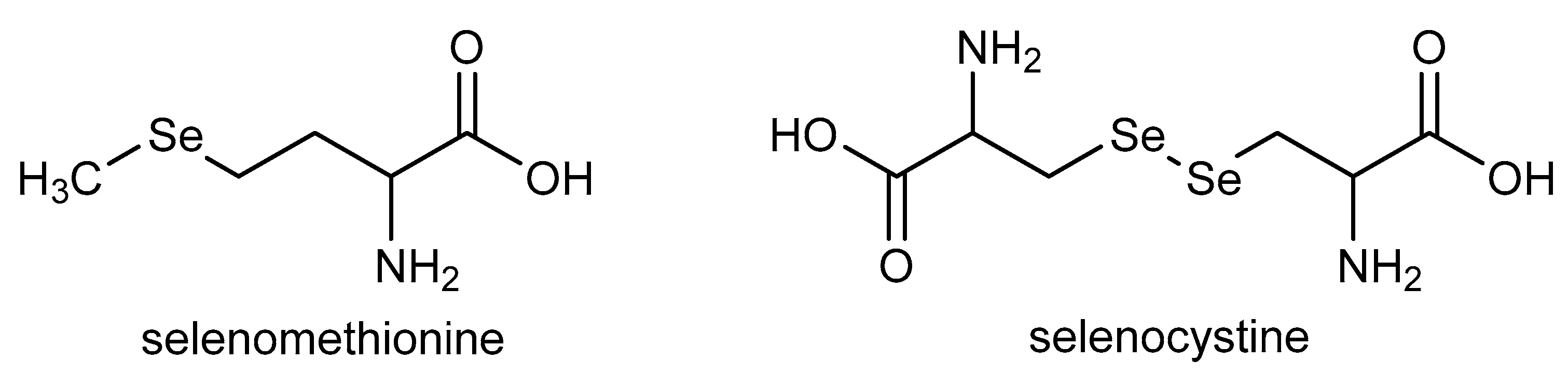 Molecules 31 02209 g007 Molecules 31 02209 g007