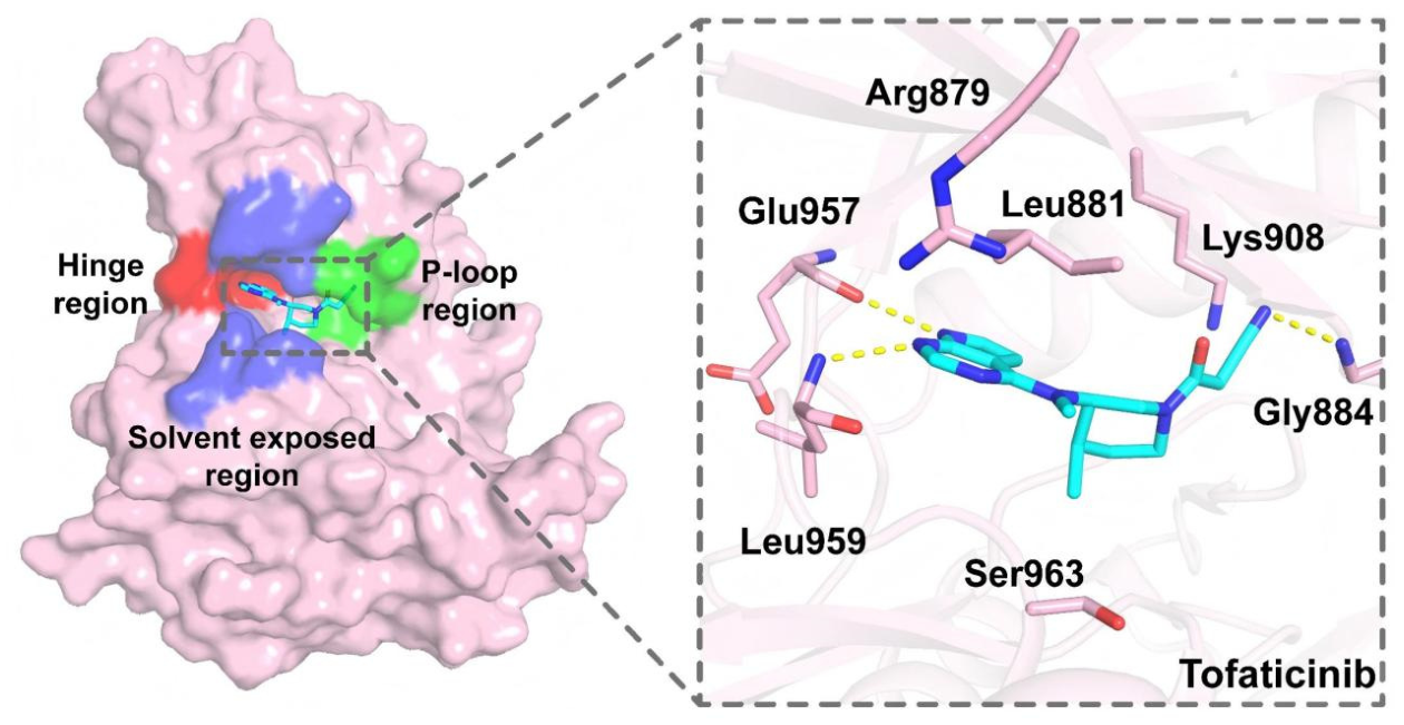 Molecules 31 02236 g002