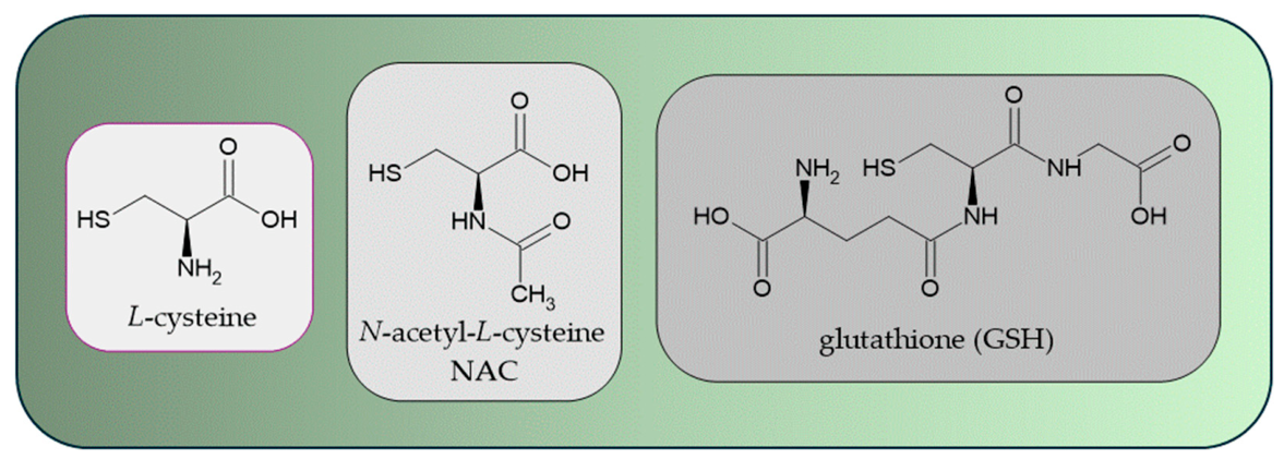 nac precursor to glutathione N-Acetyl-L-Cysteine as a Potential Adjunctive Strategy in STEC-HUS: Mechanistic Rationale and Current Evidence