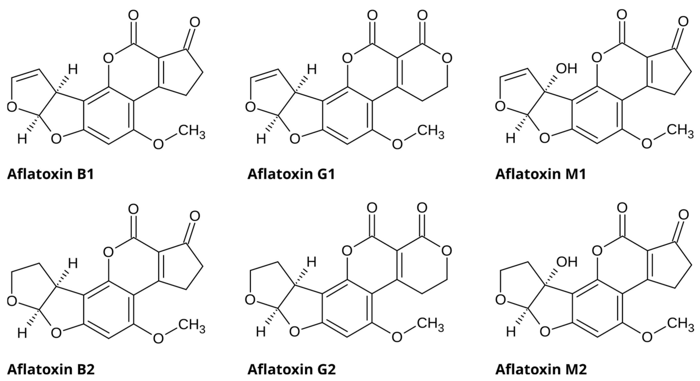 Molecules 31 02279 g001 Molecules 31 02279 g001