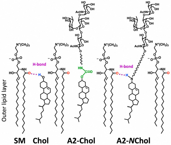 does a lipid hage cho h c akd ih Raft Selectivity of a Cholesterol