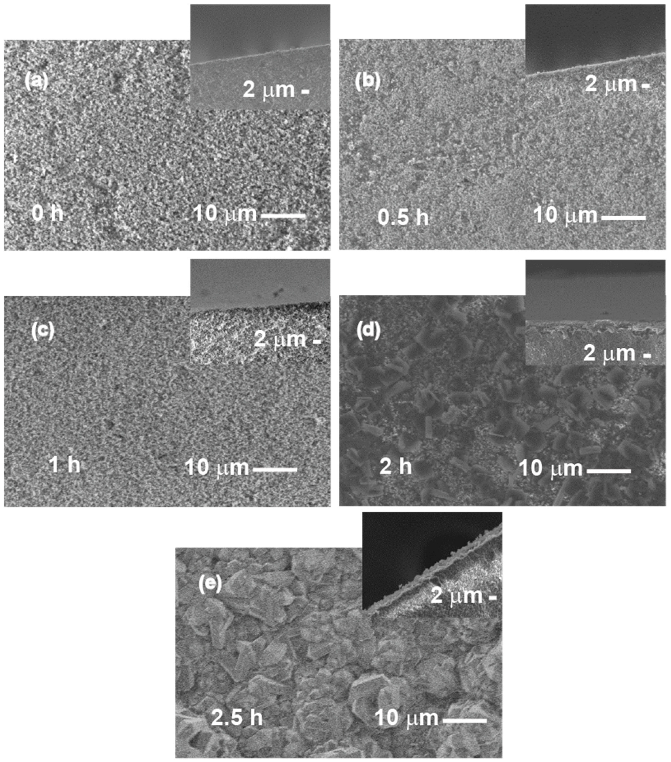 Molecules 31 02348 g007 Molecules 31 02348 g007