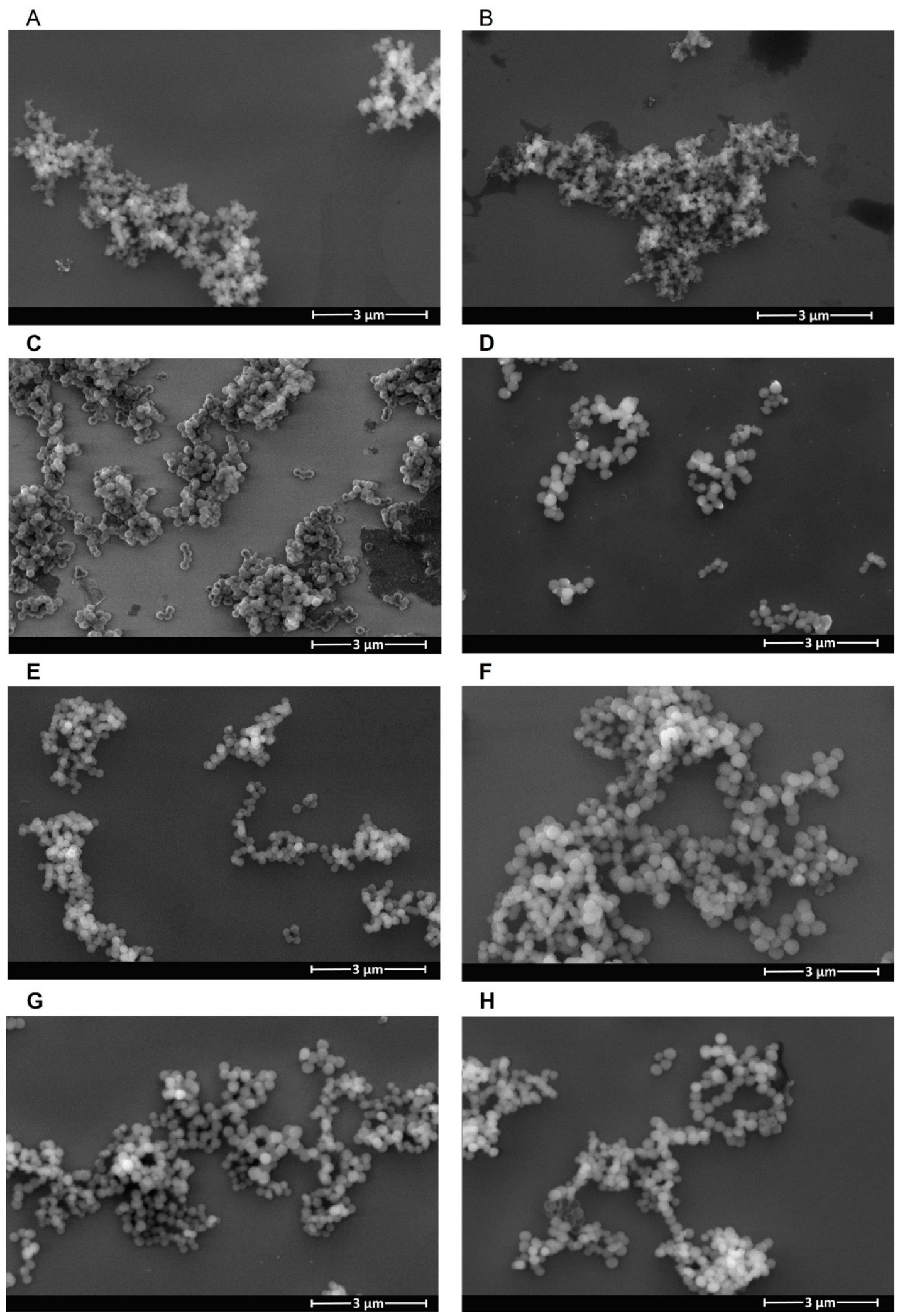 Molecules 31 02413 g001 Molecules 31 02413 g001