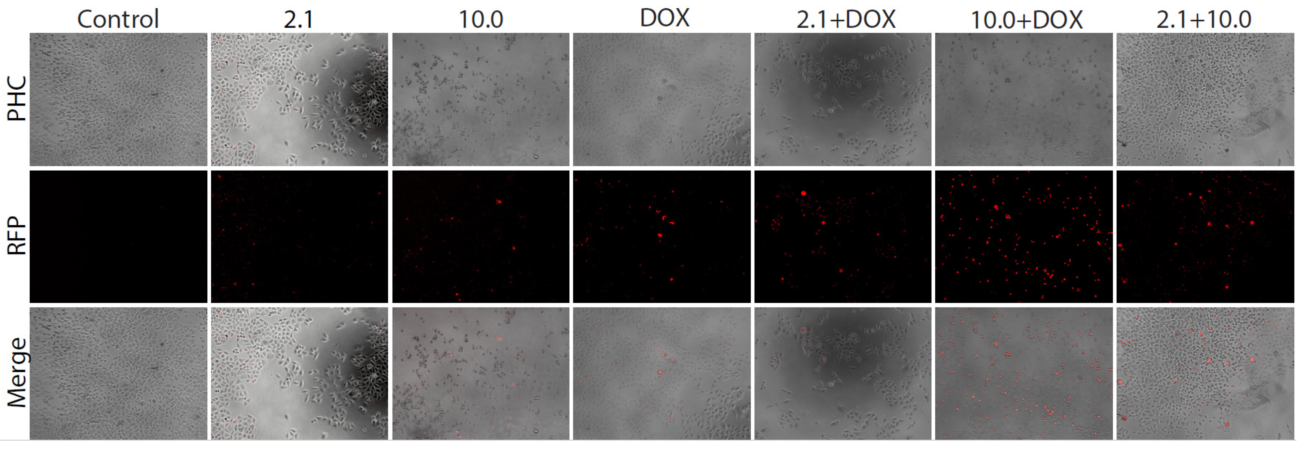 Molecules 31 02414 g003