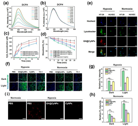 Development of a Hypoxia-Triggered Supramolecular Nanoplatform for