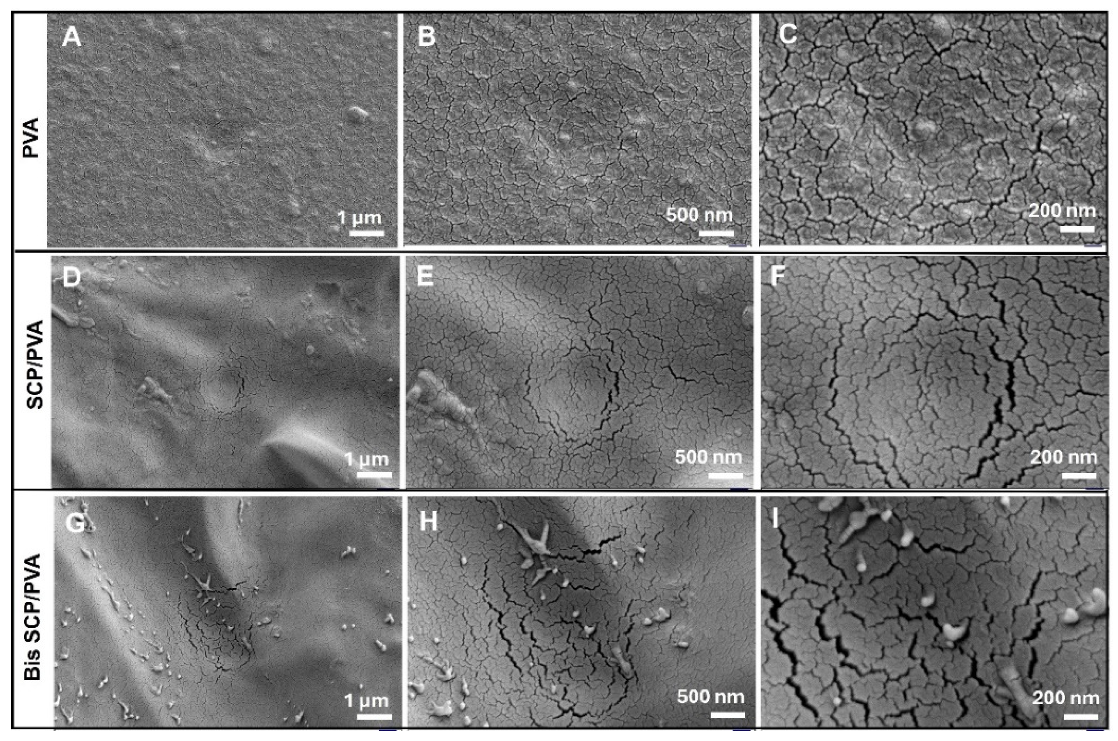 Molecules 31 02463 g002 Molecules 31 02463 g002