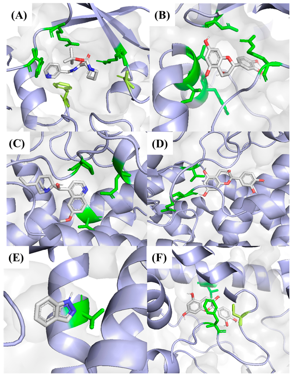 Molecules 31 02542 g004