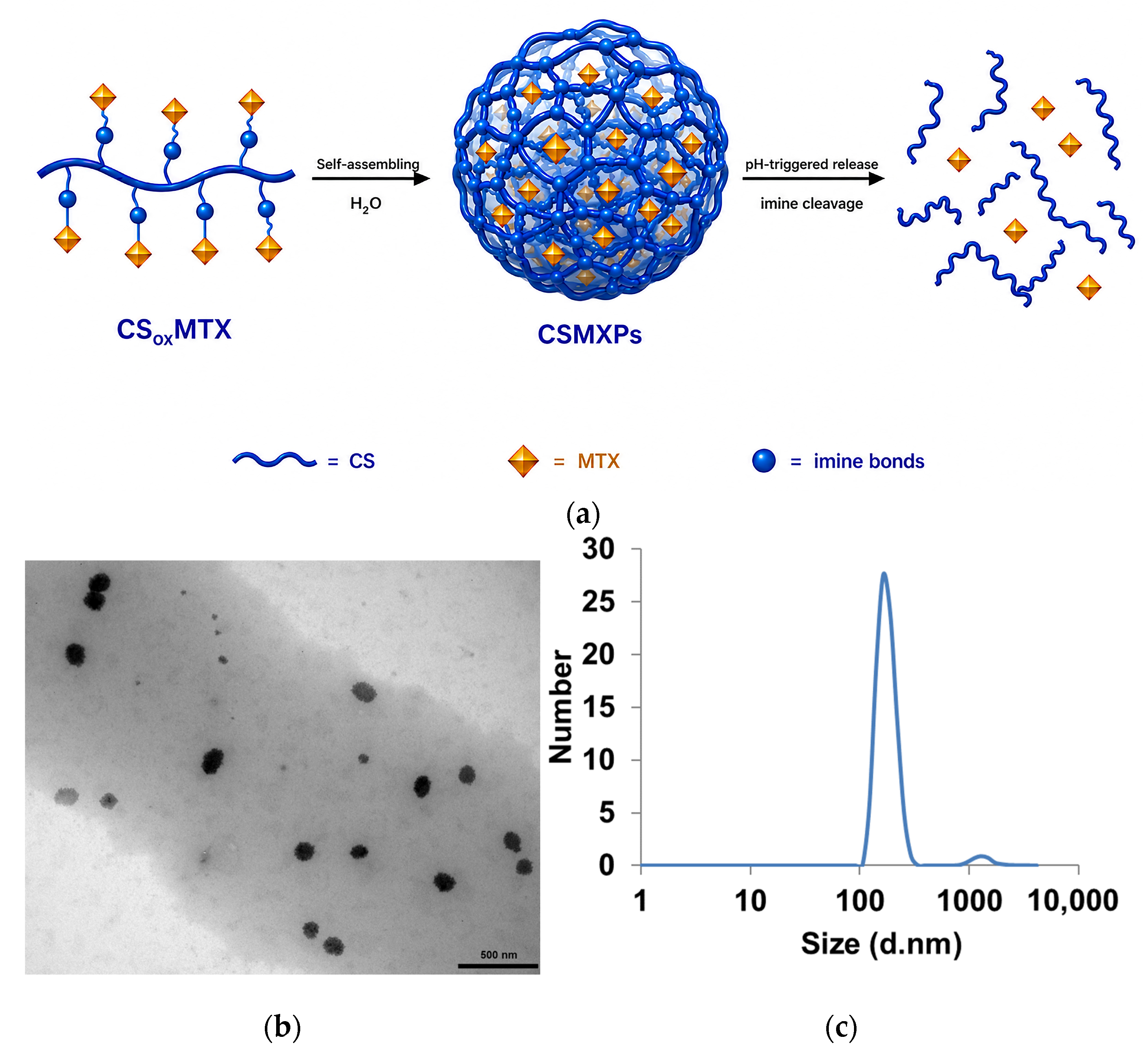 Molecules 31 02578 g004 Molecules 31 02578 g004