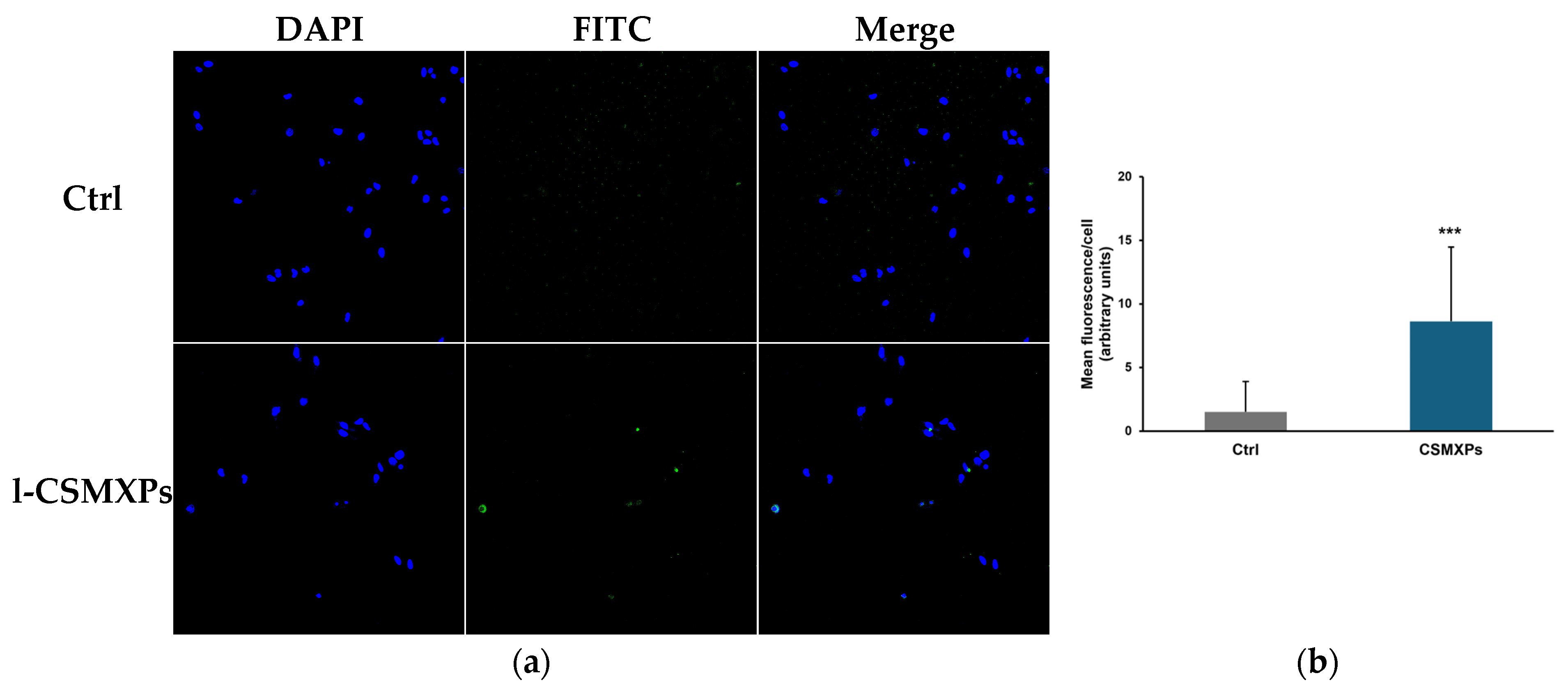 Molecules 31 02578 g006 Molecules 31 02578 g006