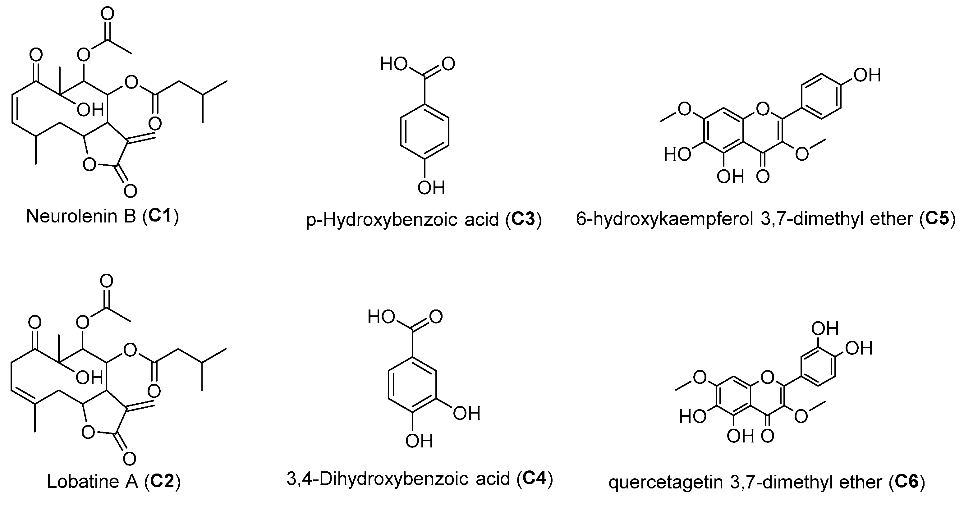 Molecules 31 02596 g001 Molecules 31 02596 g001