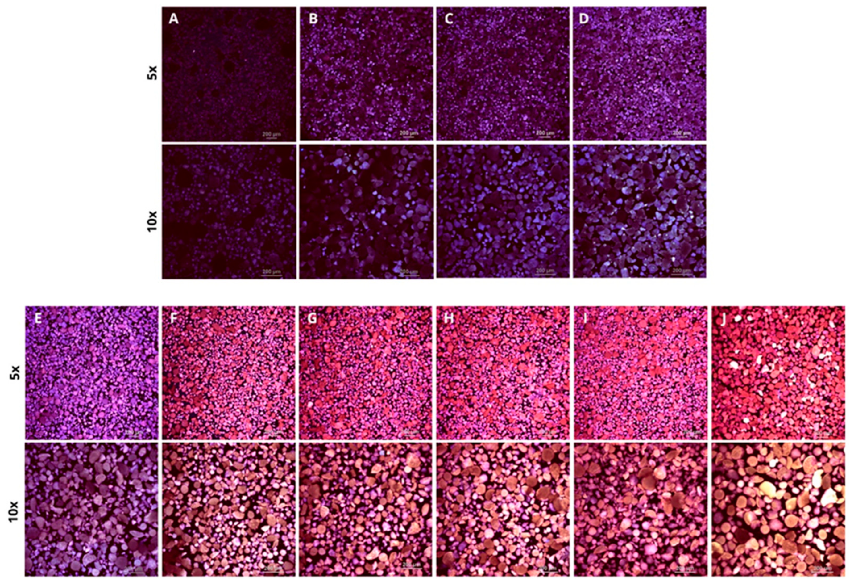 Molecules 31 02602 g005
