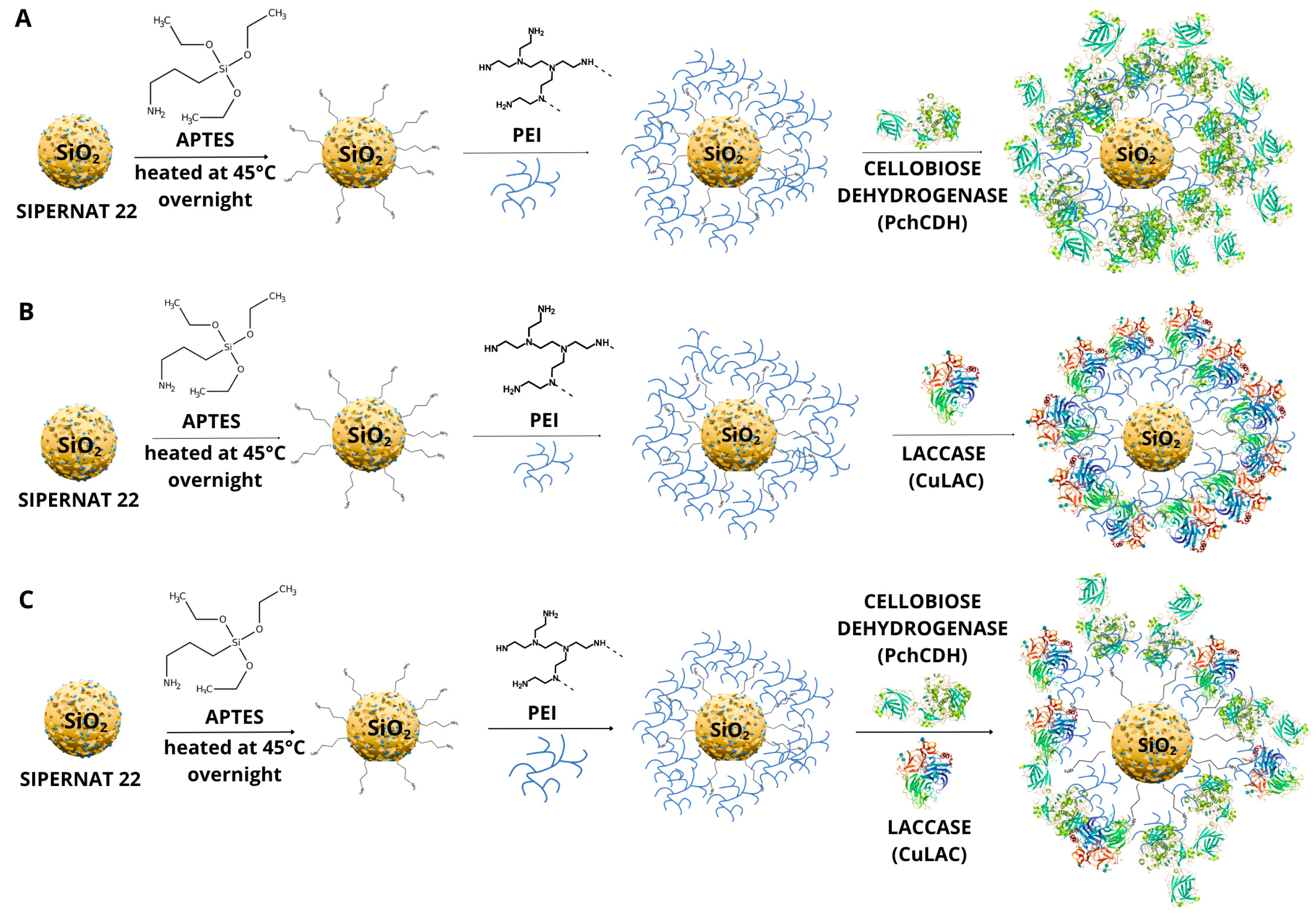 Molecules 31 02602 g008