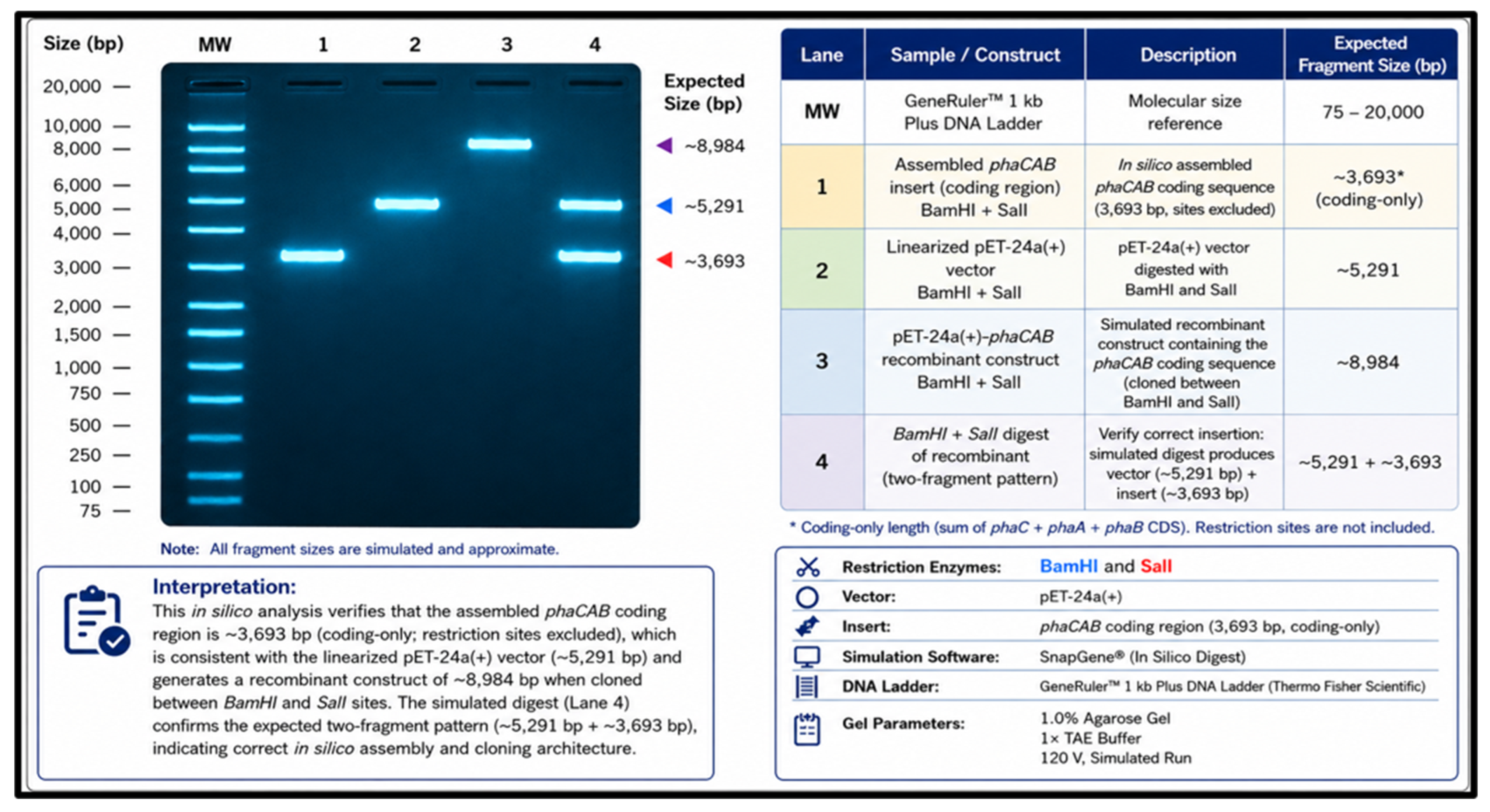 Molecules 31 02729 g007
