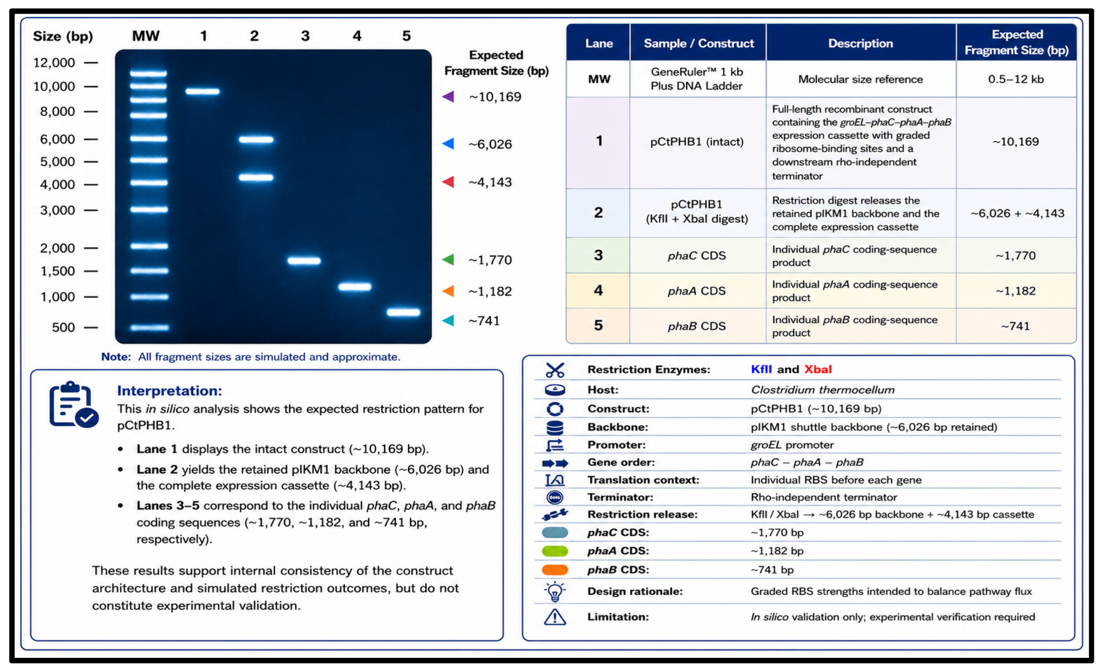 Molecules 31 02729 g009