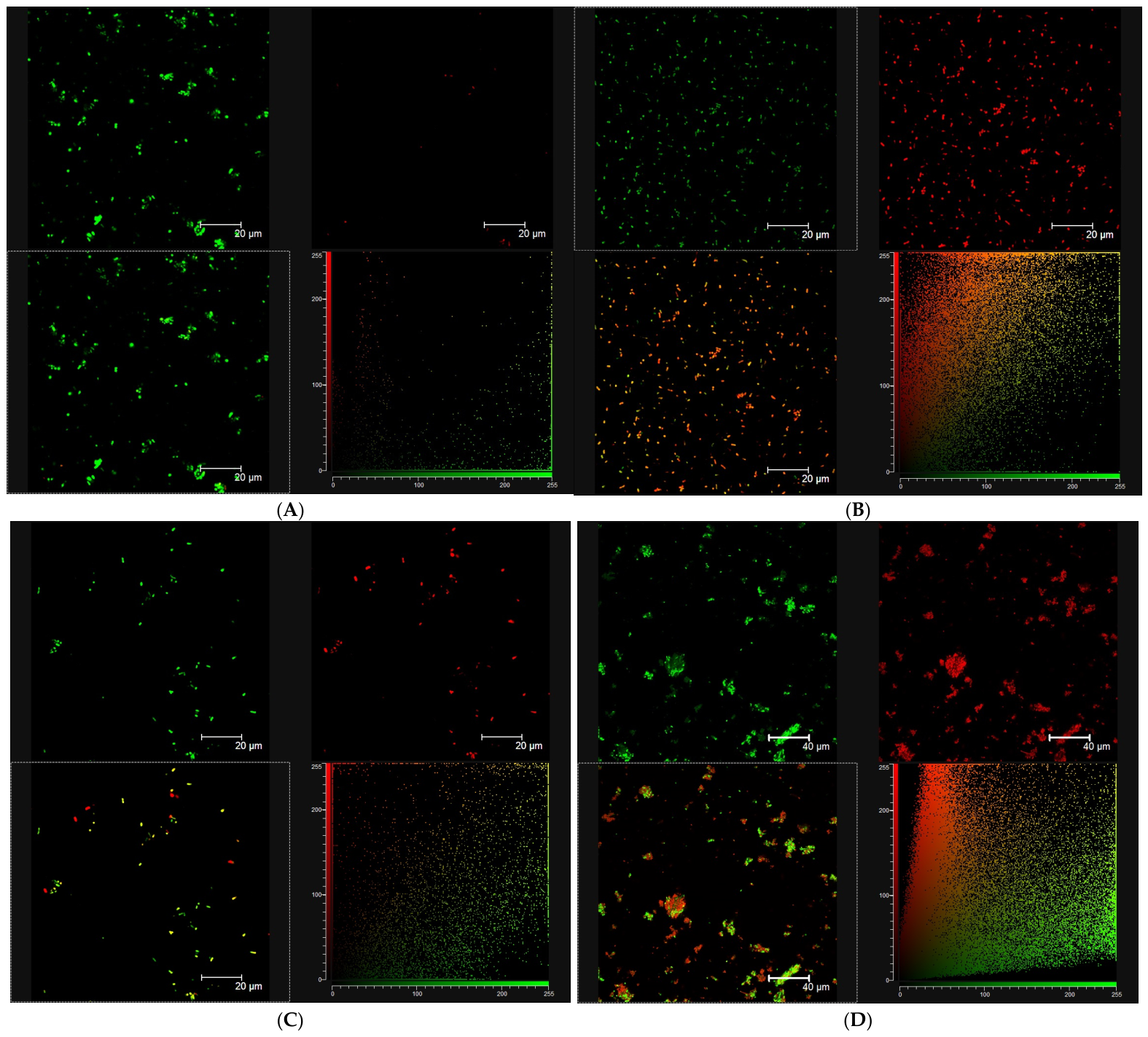 Molecules 31 02807 g007 Molecules 31 02807 g007