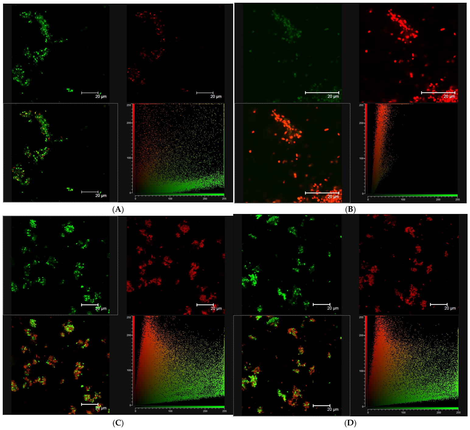 Molecules 31 02807 g008 Molecules 31 02807 g008