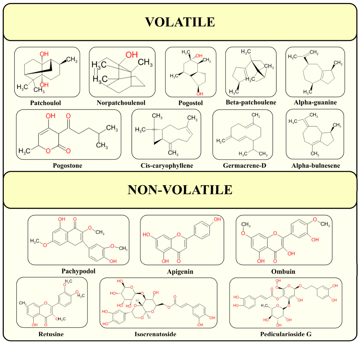 Molecules 31 02870 g001 Molecules 31 02870 g001