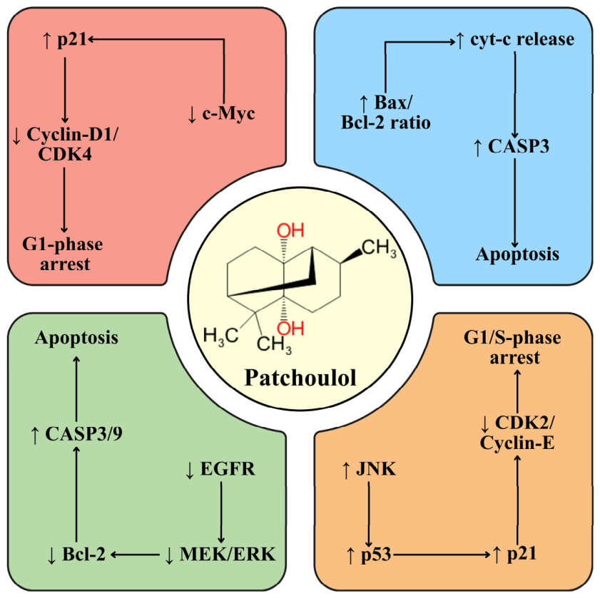 Molecules 31 02870 g003 Molecules 31 02870 g003