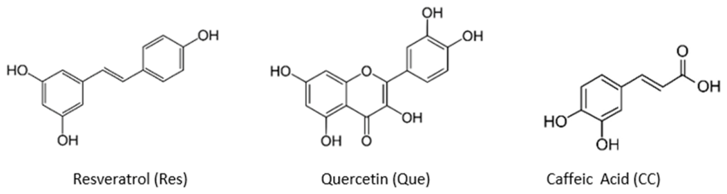 Molecules 31 02872 g001 Molecules 31 02872 g001