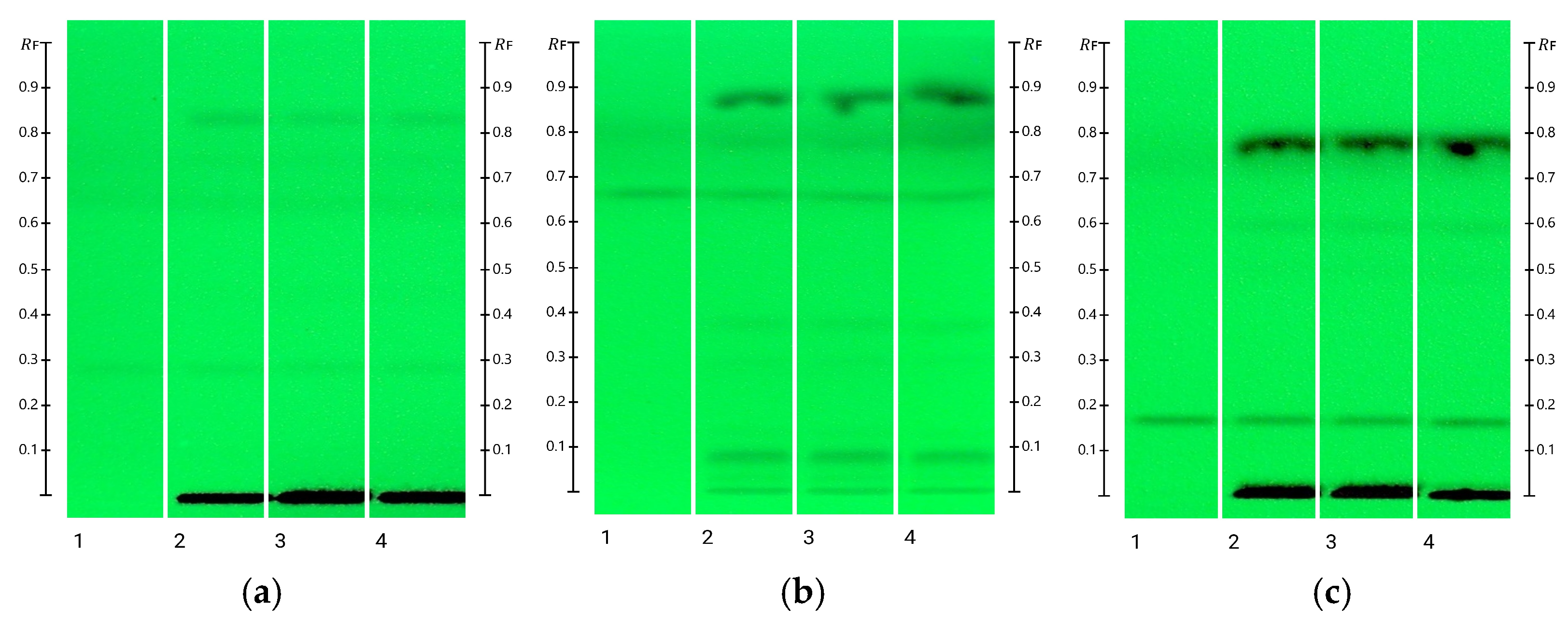 Molecules 31 02904 g002 Molecules 31 02904 g002