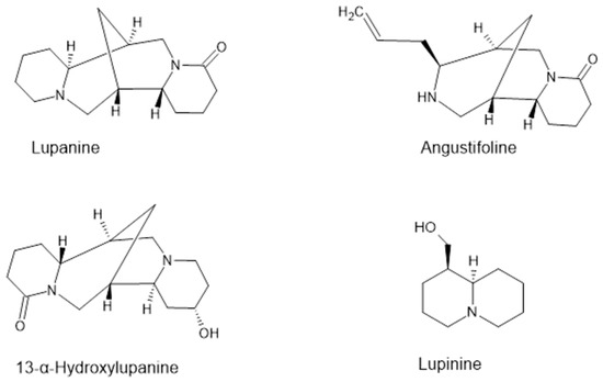 Chemical Composition, Biological Activities and Application of