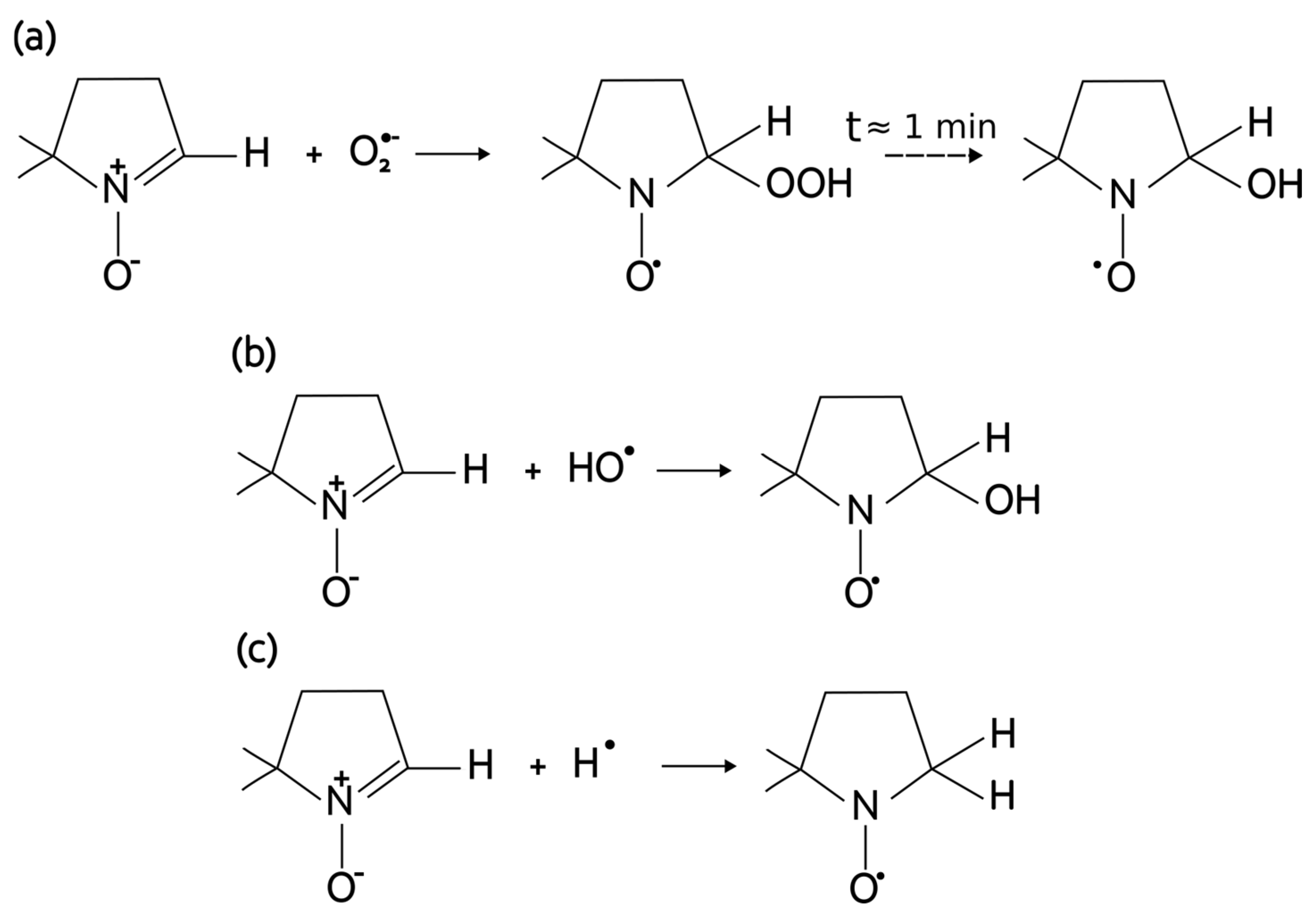 Molecules 31 03171 g001 Molecules 31 03171 g001