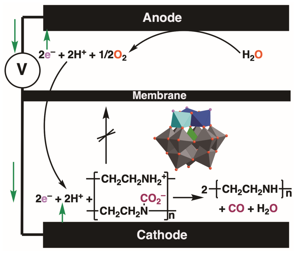 Molecules 31 03276 g001 Molecules 31 03276 g001