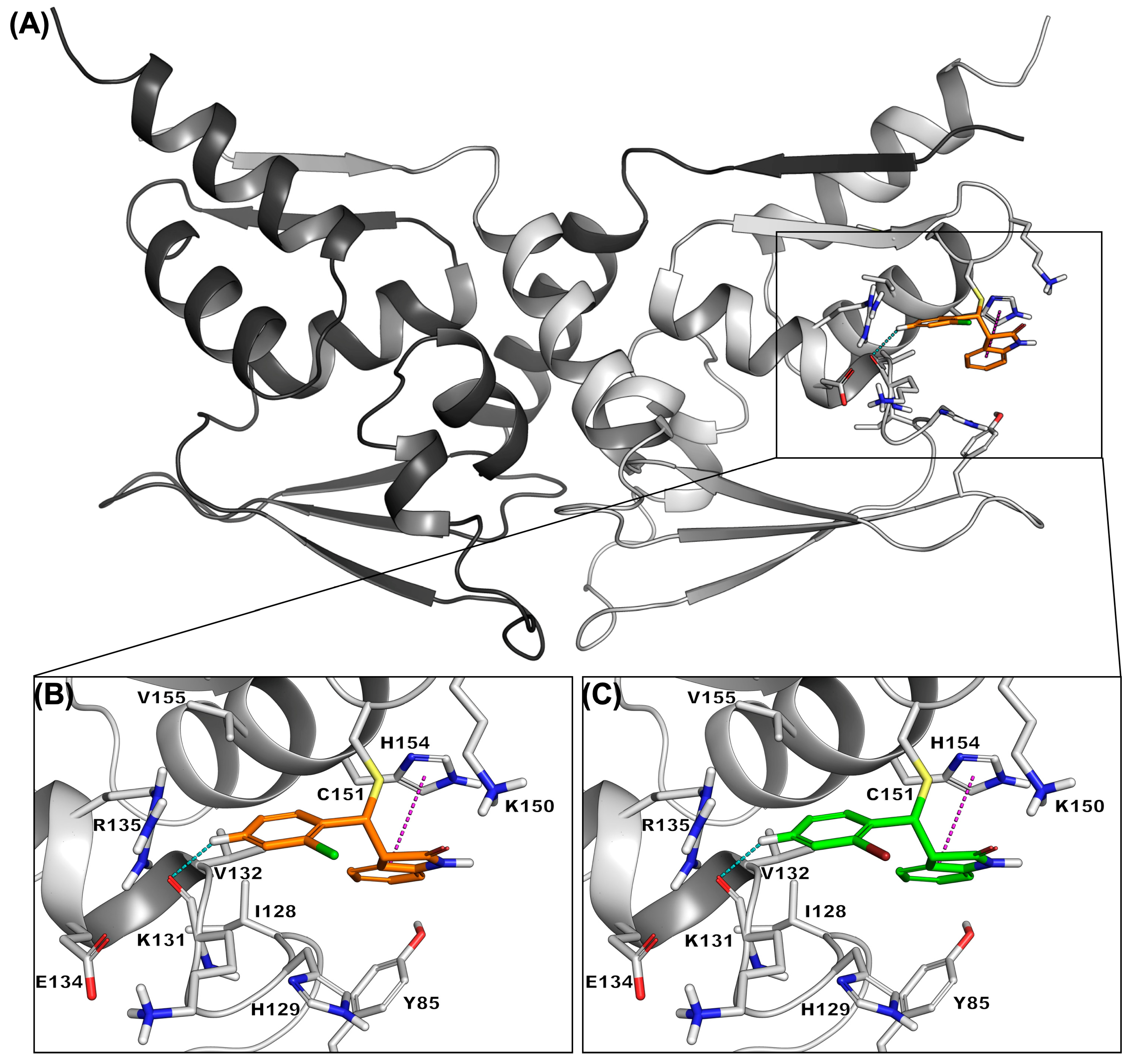 Molecules 31 03314 g006 Molecules 31 03314 g006
