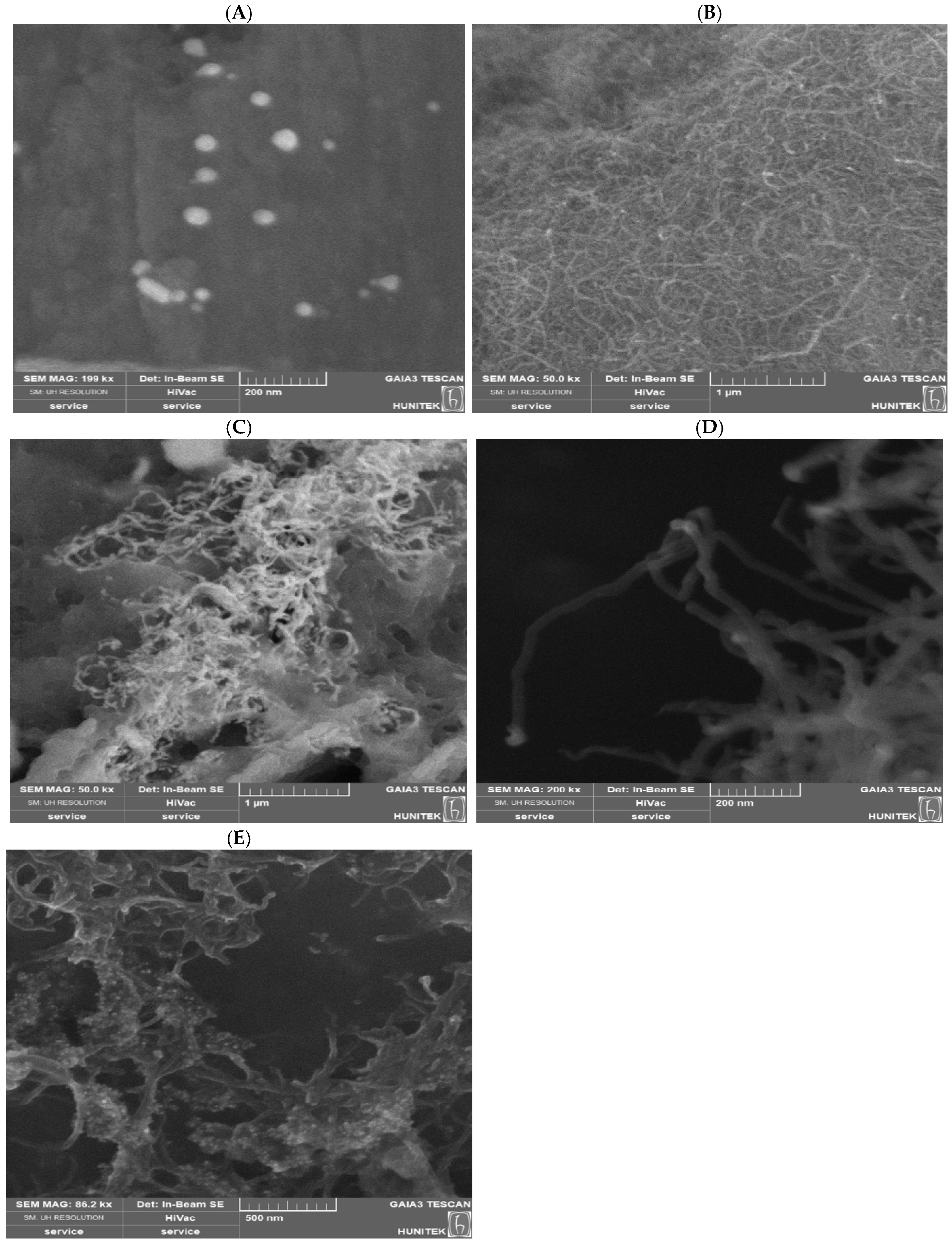 Molecules 31 03322 g004