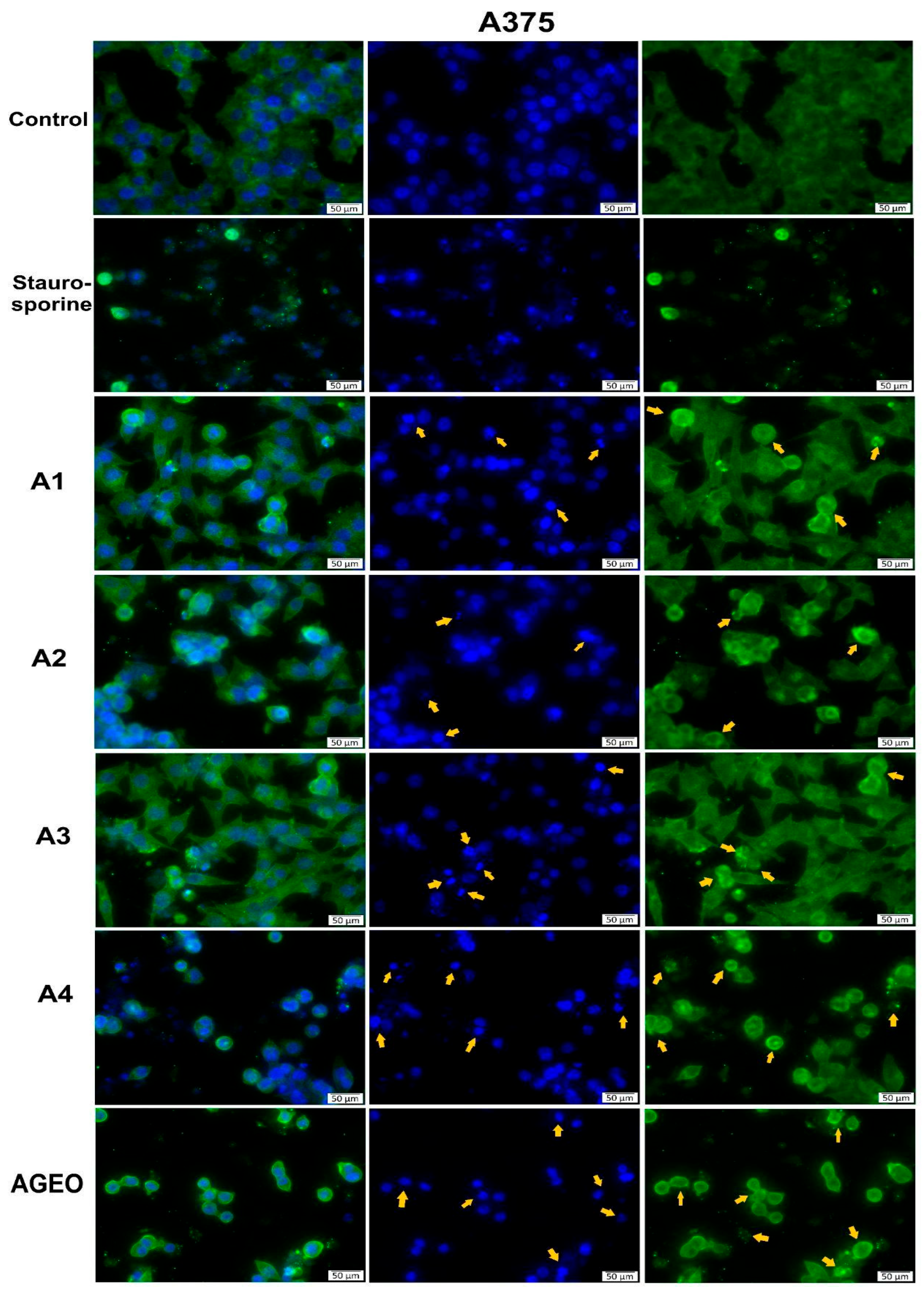Molecules 31 03337 g002 Molecules 31 03337 g002