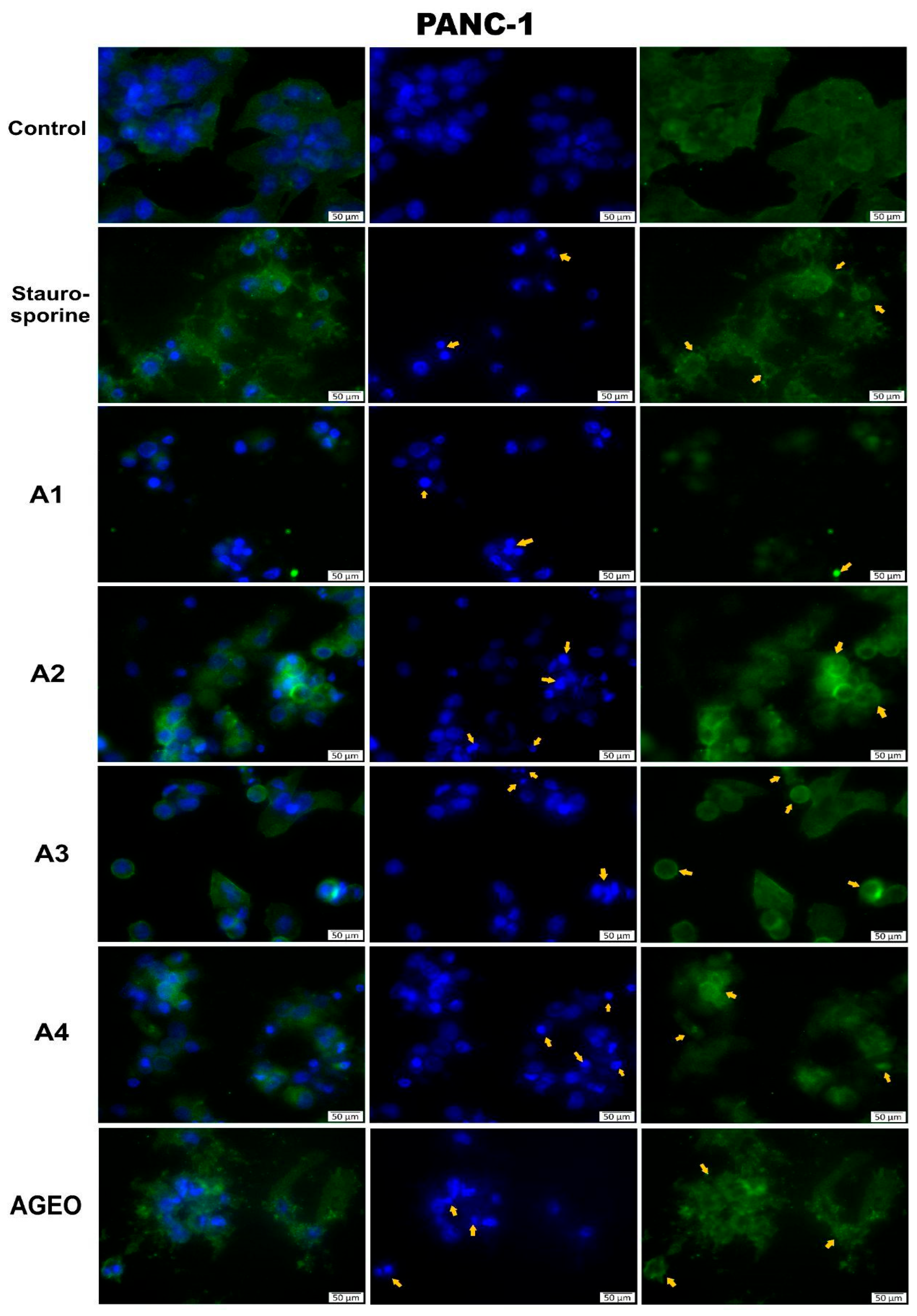 Molecules 31 03337 g003 Molecules 31 03337 g003