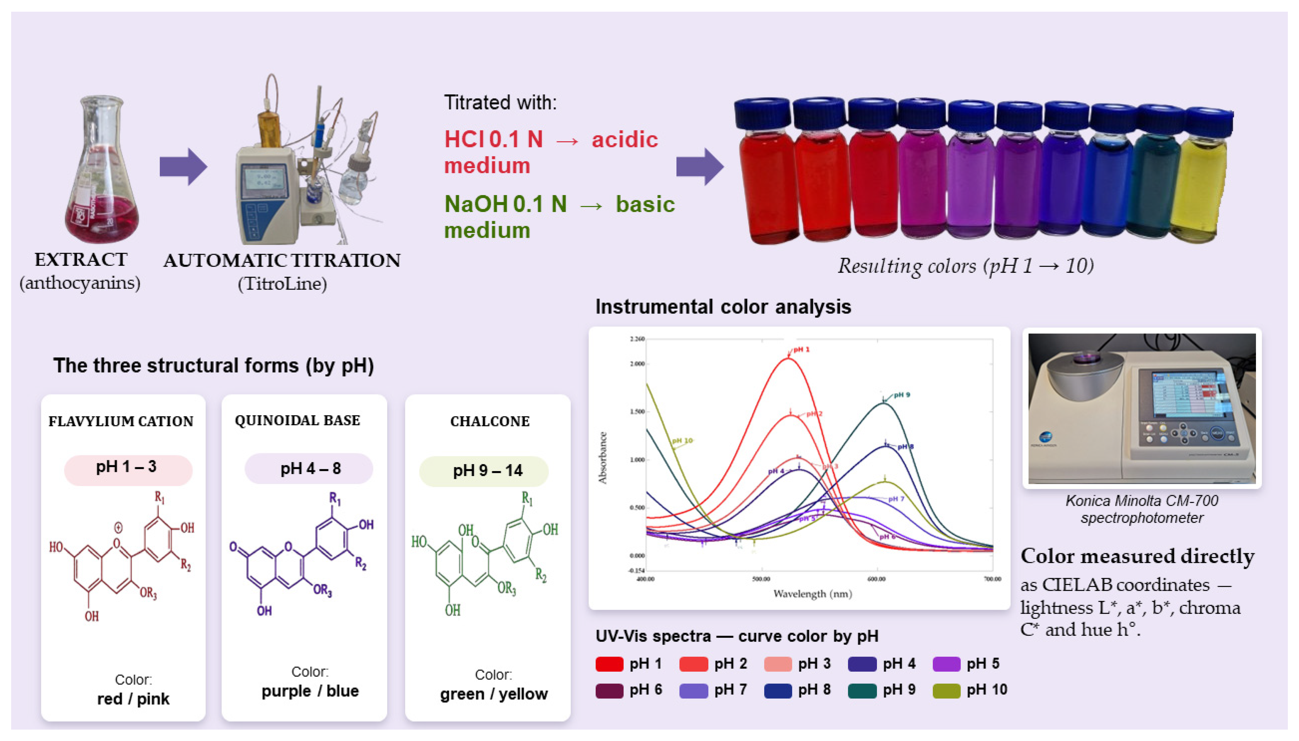 Molecules 31 03339 g001 Molecules 31 03339 g001