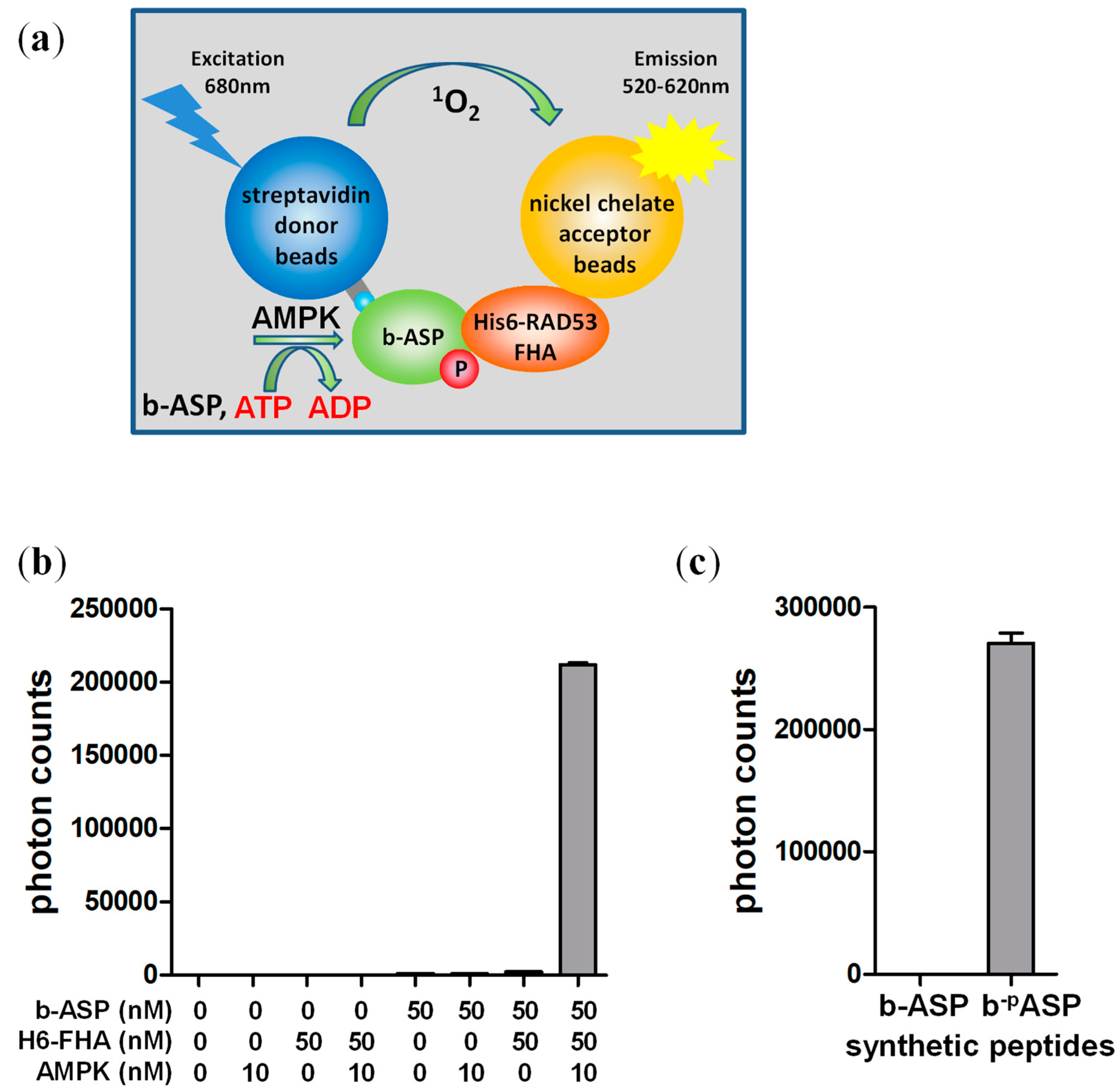 MPs Free FullText A Highly Sensitive NonRadioactive Activity