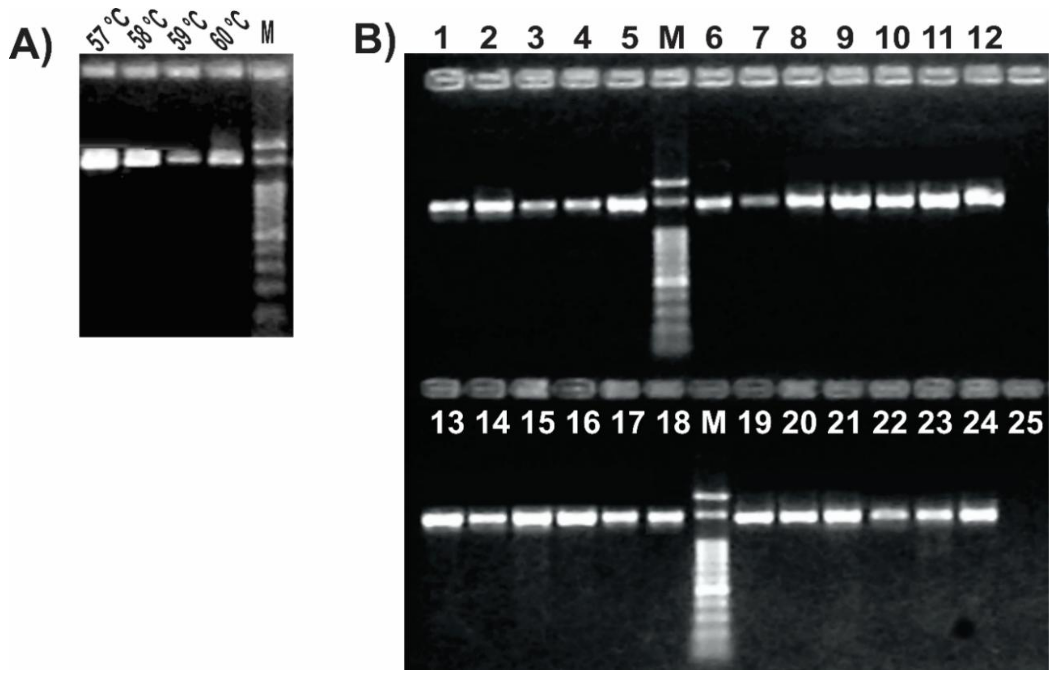 Mps 01 00024 g003 Mps 01 00024 g003