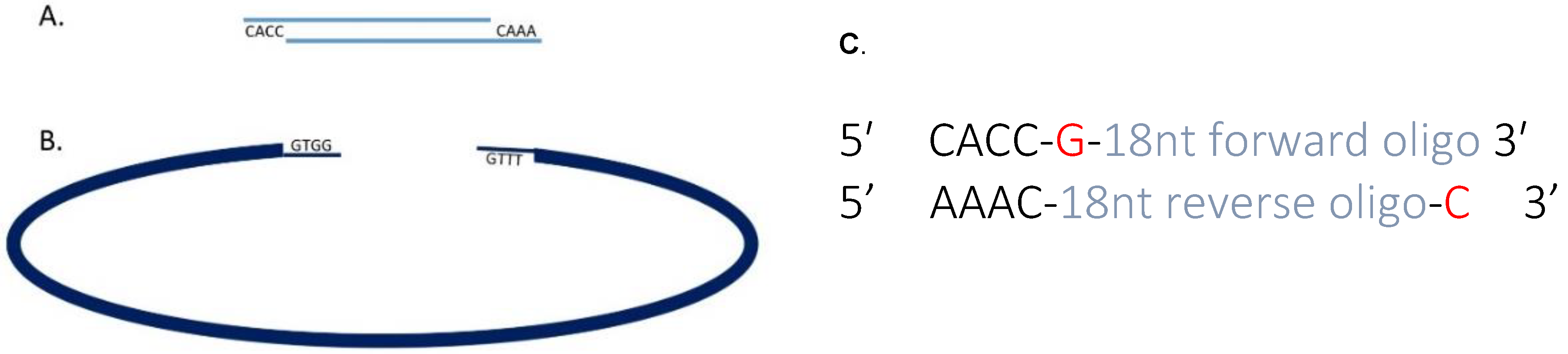 Mps 01 00028 g002