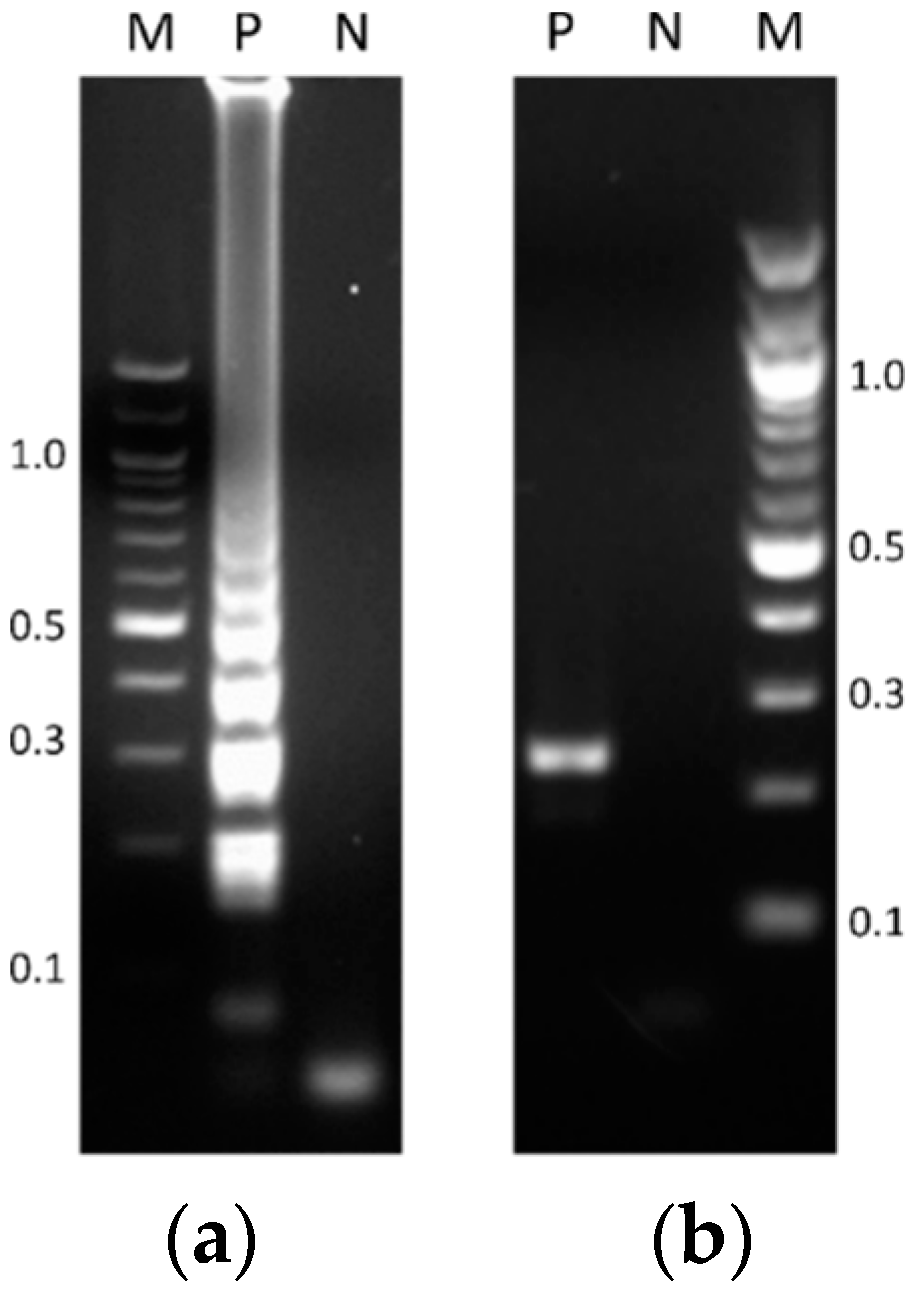 Mps 01 00037 g001