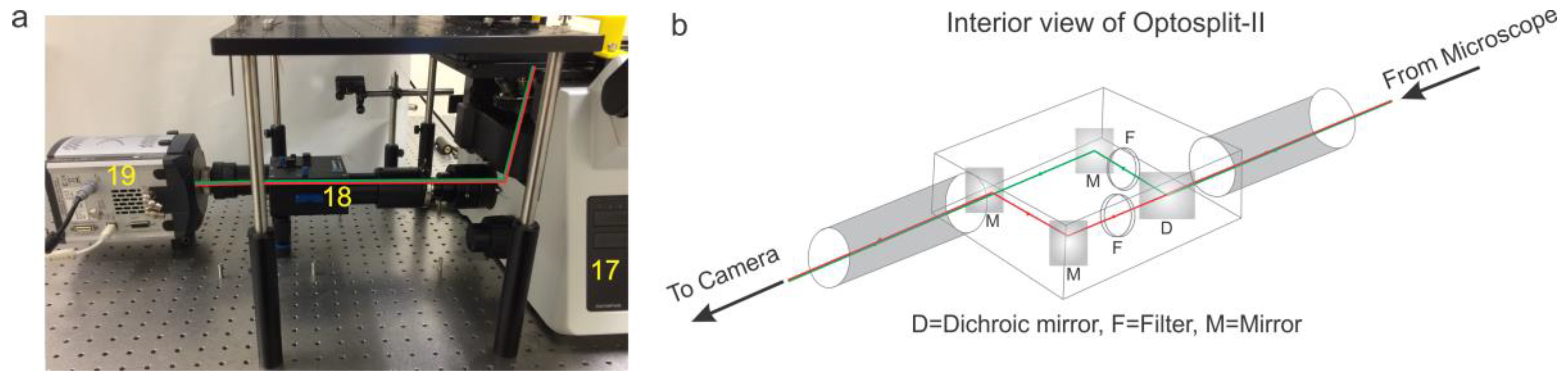 Mps 01 00040 g005 Mps 01 00040 g005