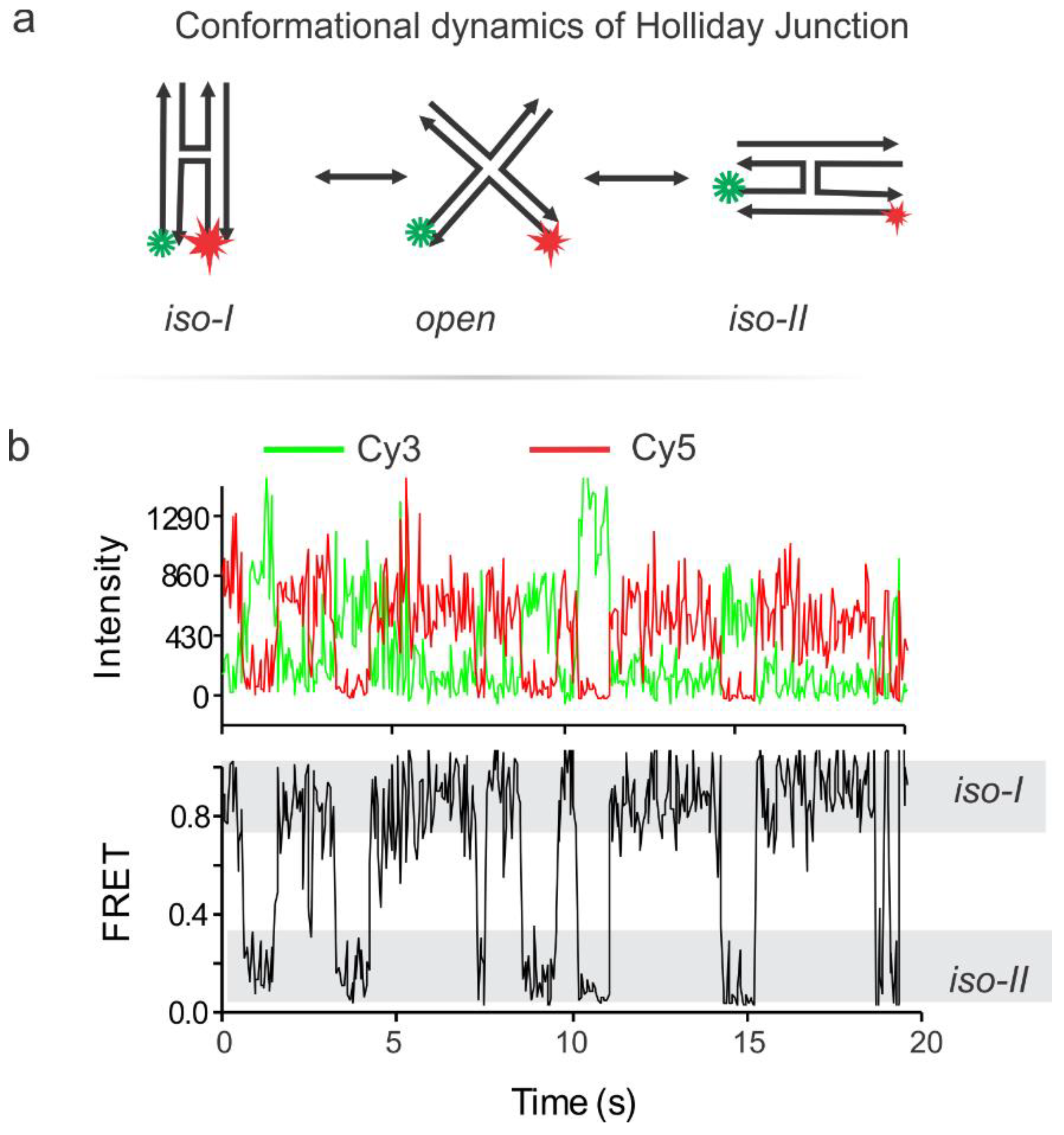 Mps 01 00040 g008 Mps 01 00040 g008