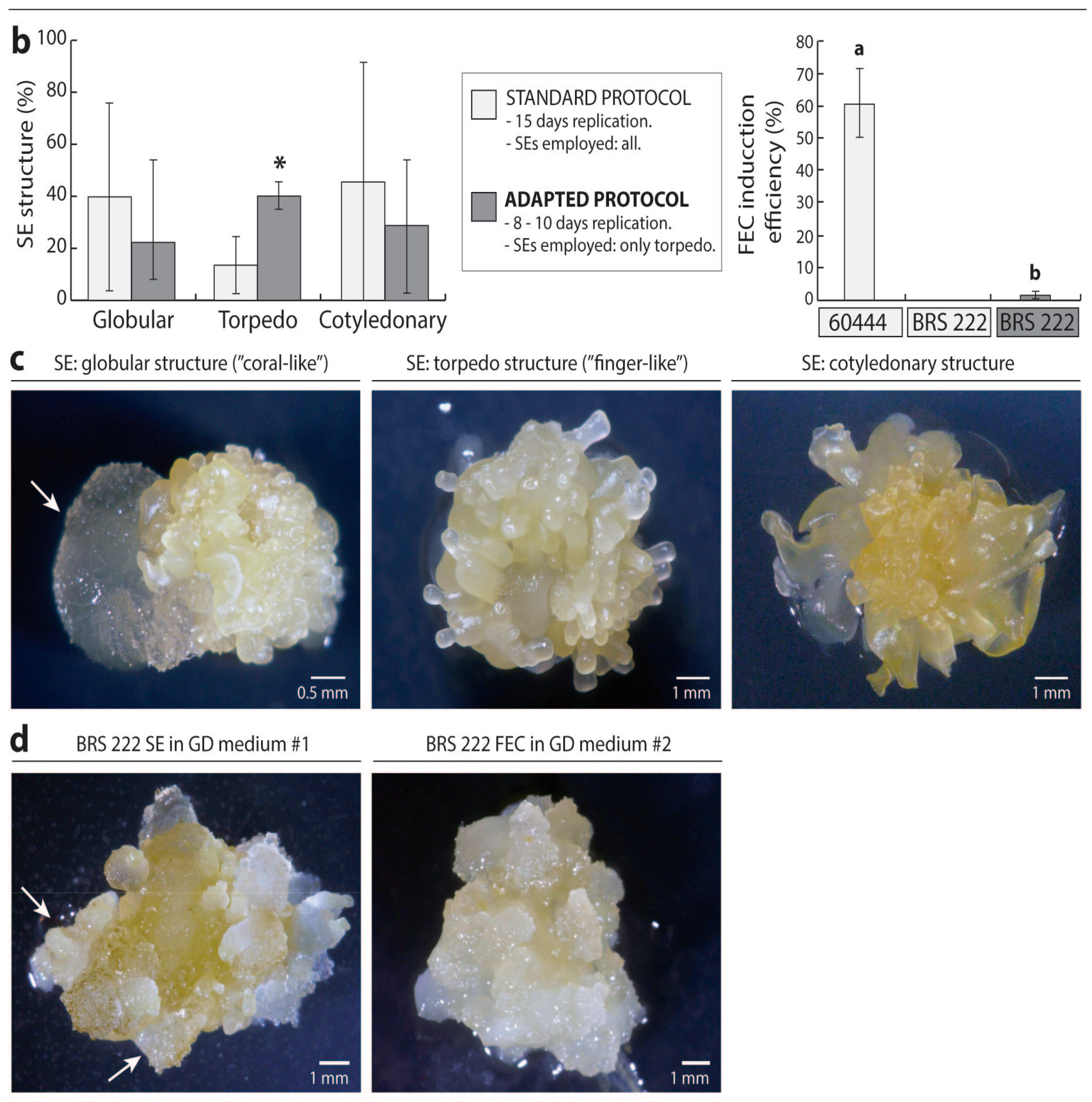 Mps 01 00042 g001b Mps 01 00042 g001b