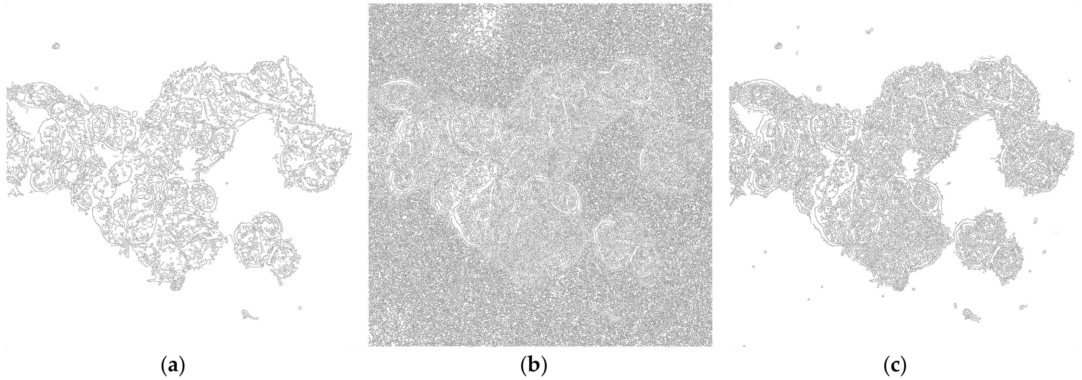 Mps 01 00043 g002 Mps 01 00043 g002