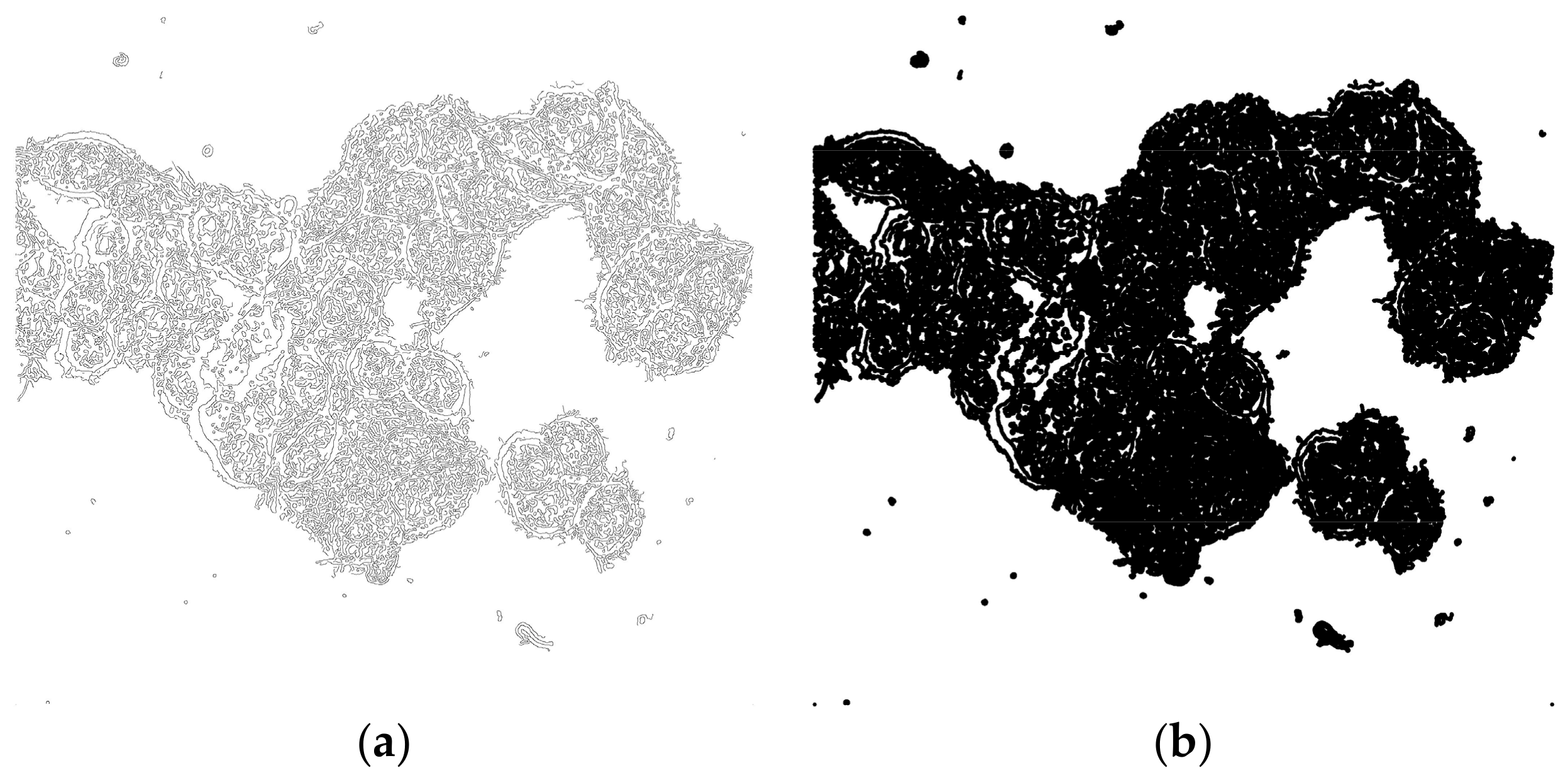 Mps 01 00043 g003 Mps 01 00043 g003