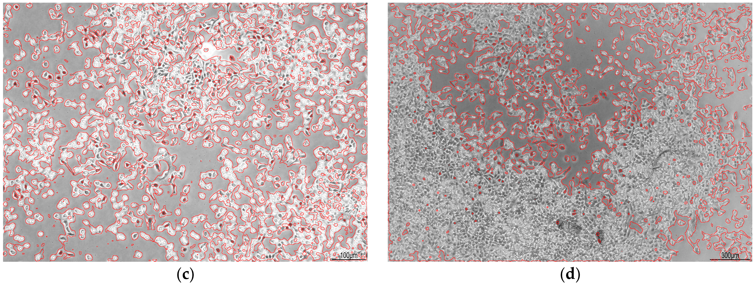 Mps 01 00043 g007b Mps 01 00043 g007b