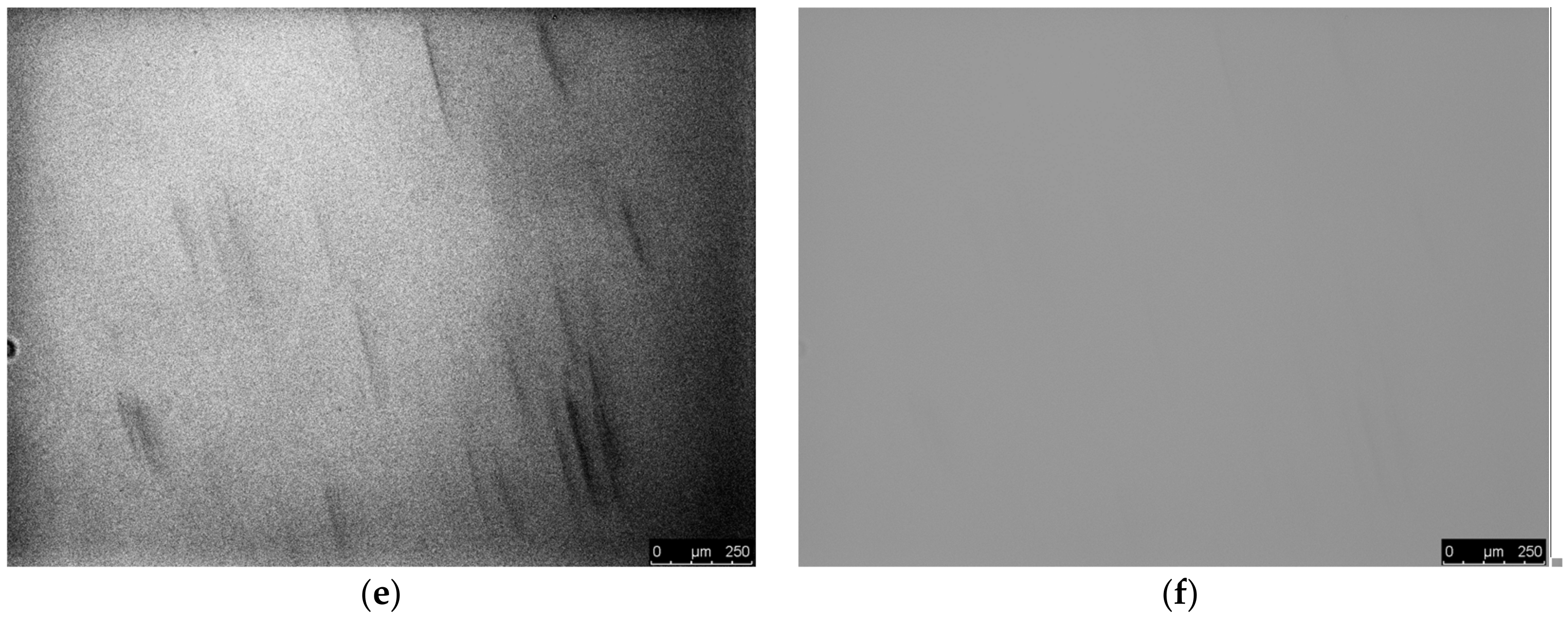 Mps 01 00043 g008b Mps 01 00043 g008b