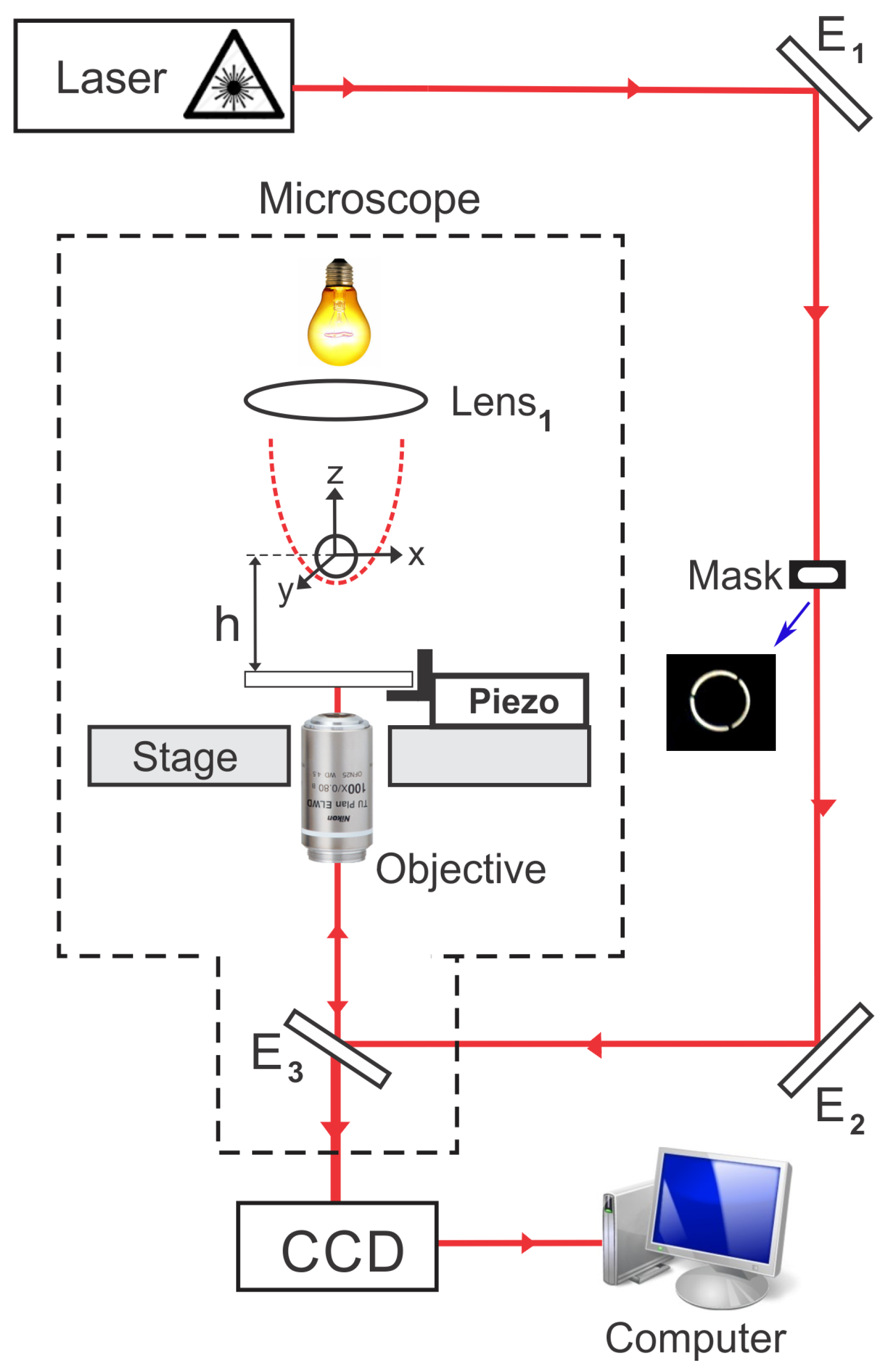 Mps 01 00044 g001 Mps 01 00044 g001