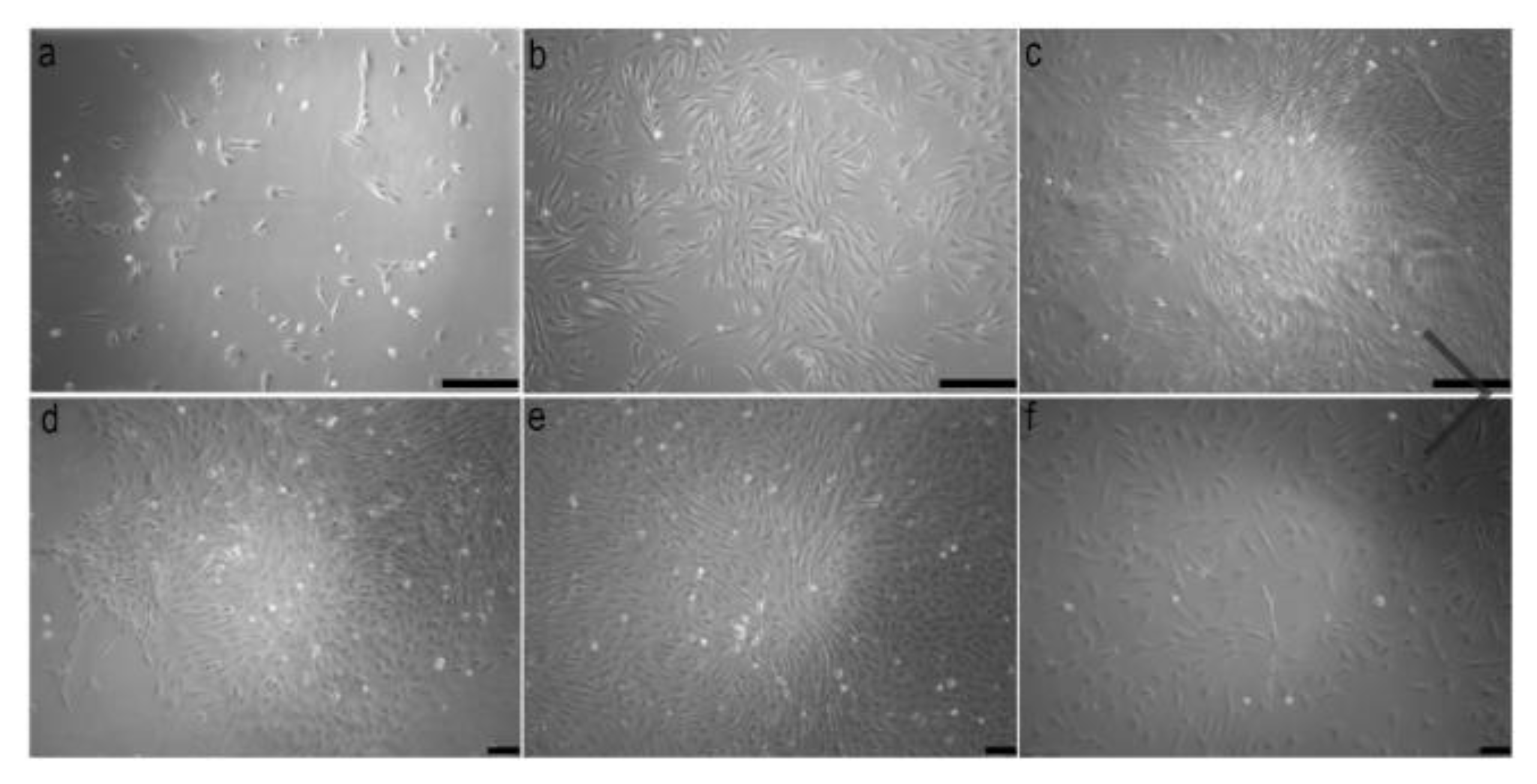 Mps 01 00047 g001 Mps 01 00047 g001