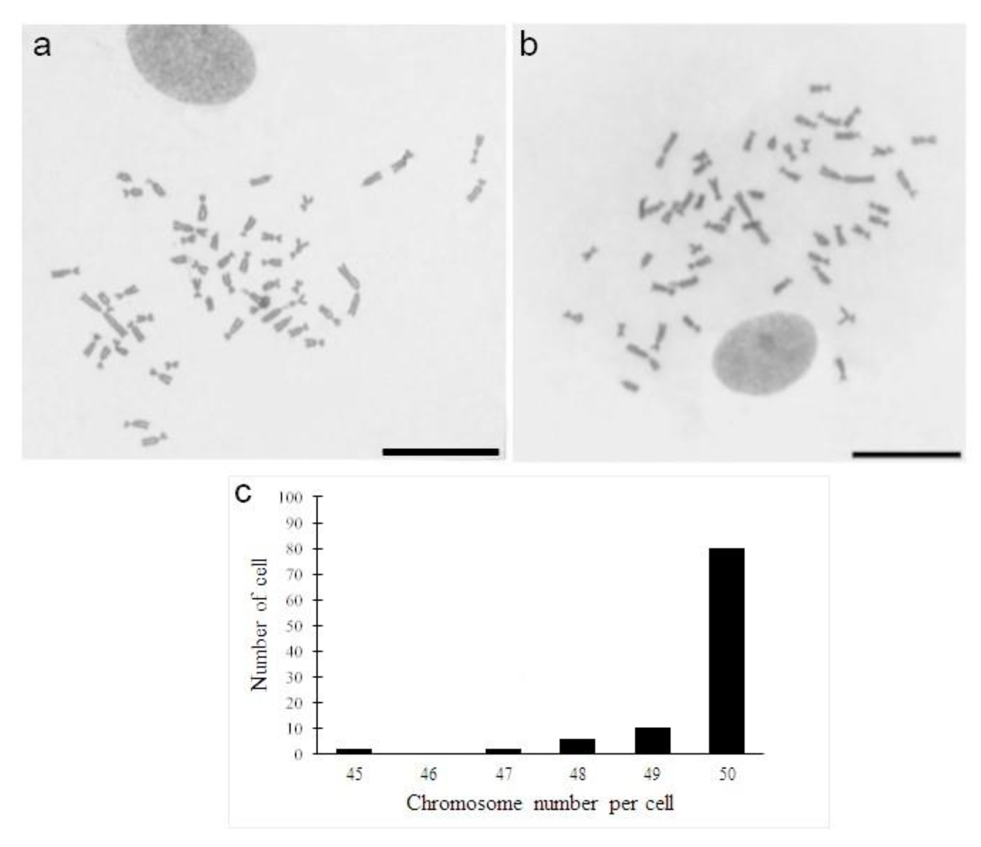 Mps 01 00047 g002 Mps 01 00047 g002