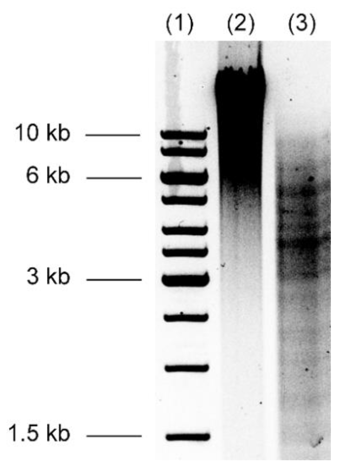 Mps 02 00004 g002 Mps 02 00004 g002