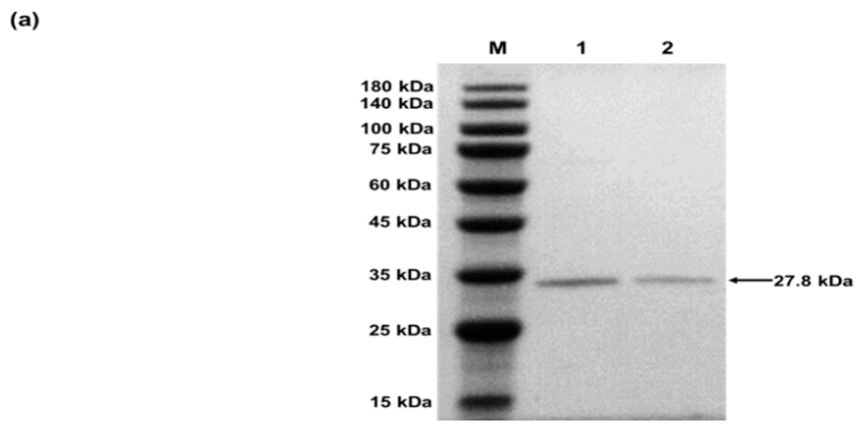 Mps 02 00016 g004a