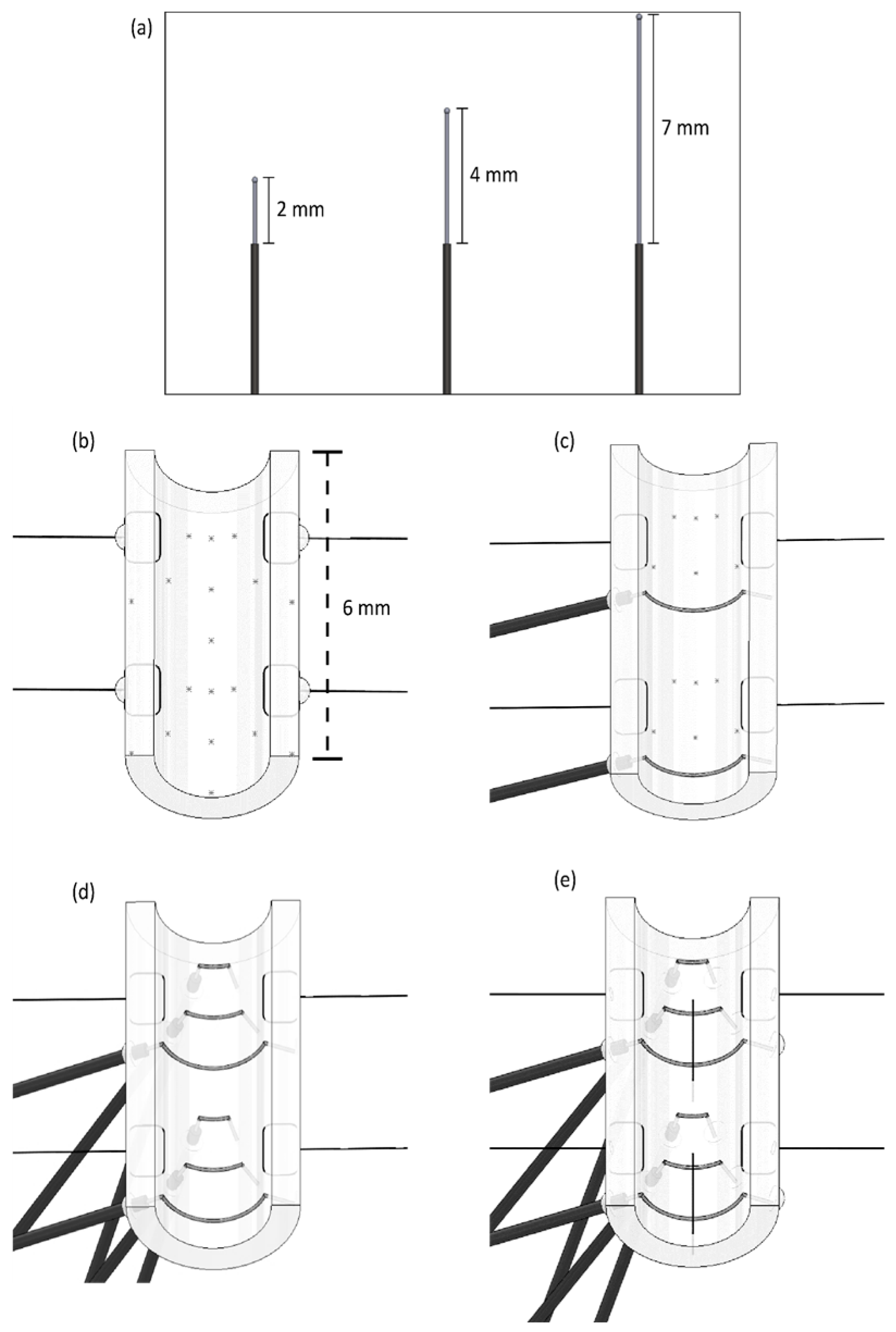 Mps 02 00019 g011